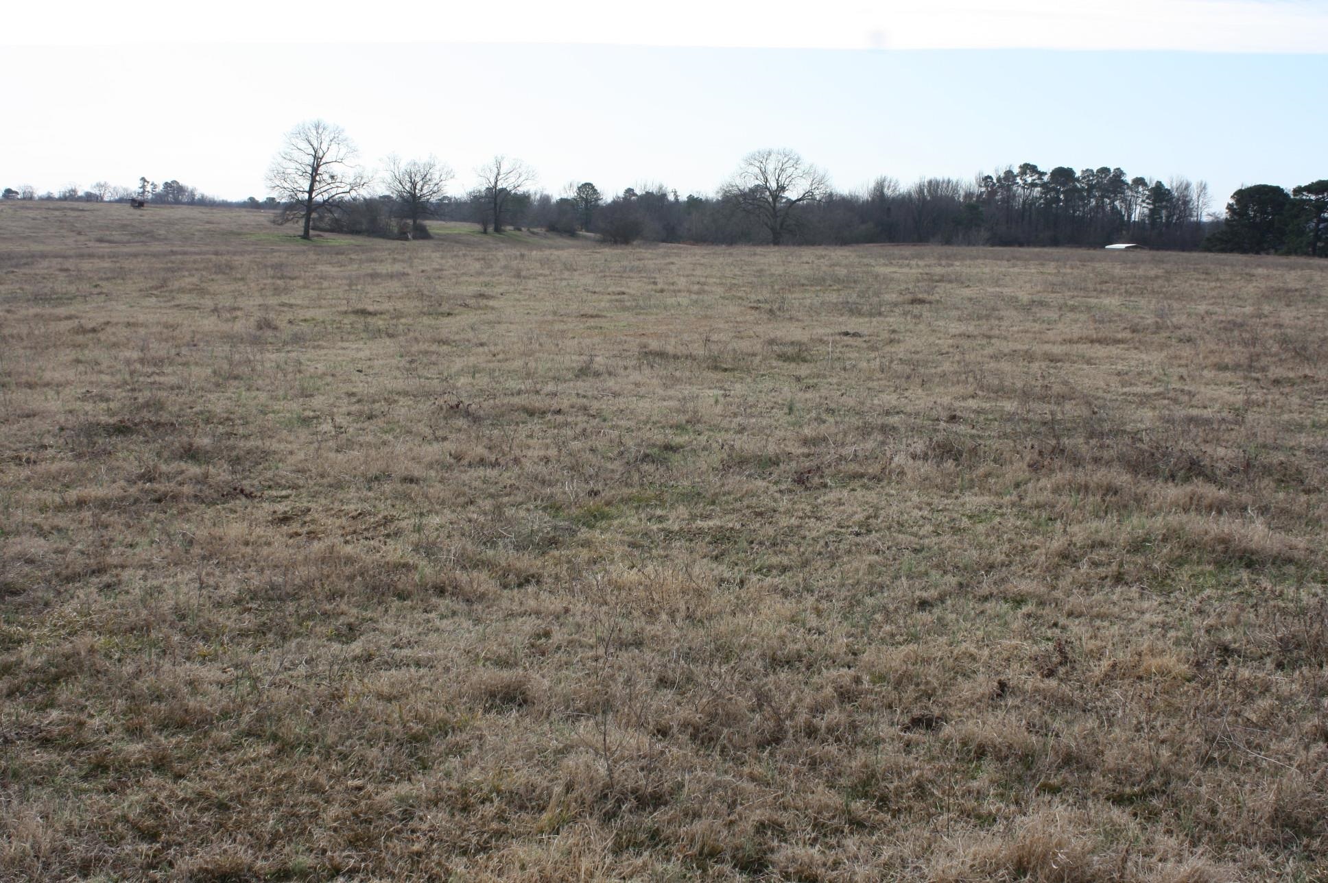 Photo 10 - Vacant Land for sale –   Corn Bridge Rd.   Nashville, AR
