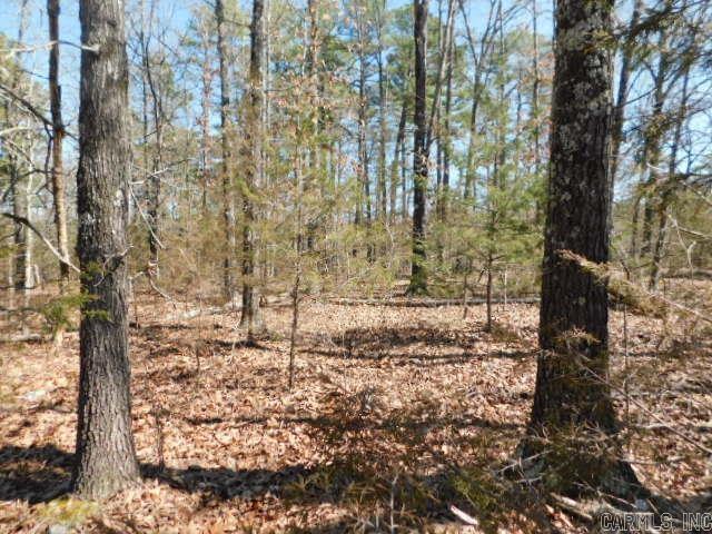 Vacant Land for sale – 516  Quail Way   Dolph, AR