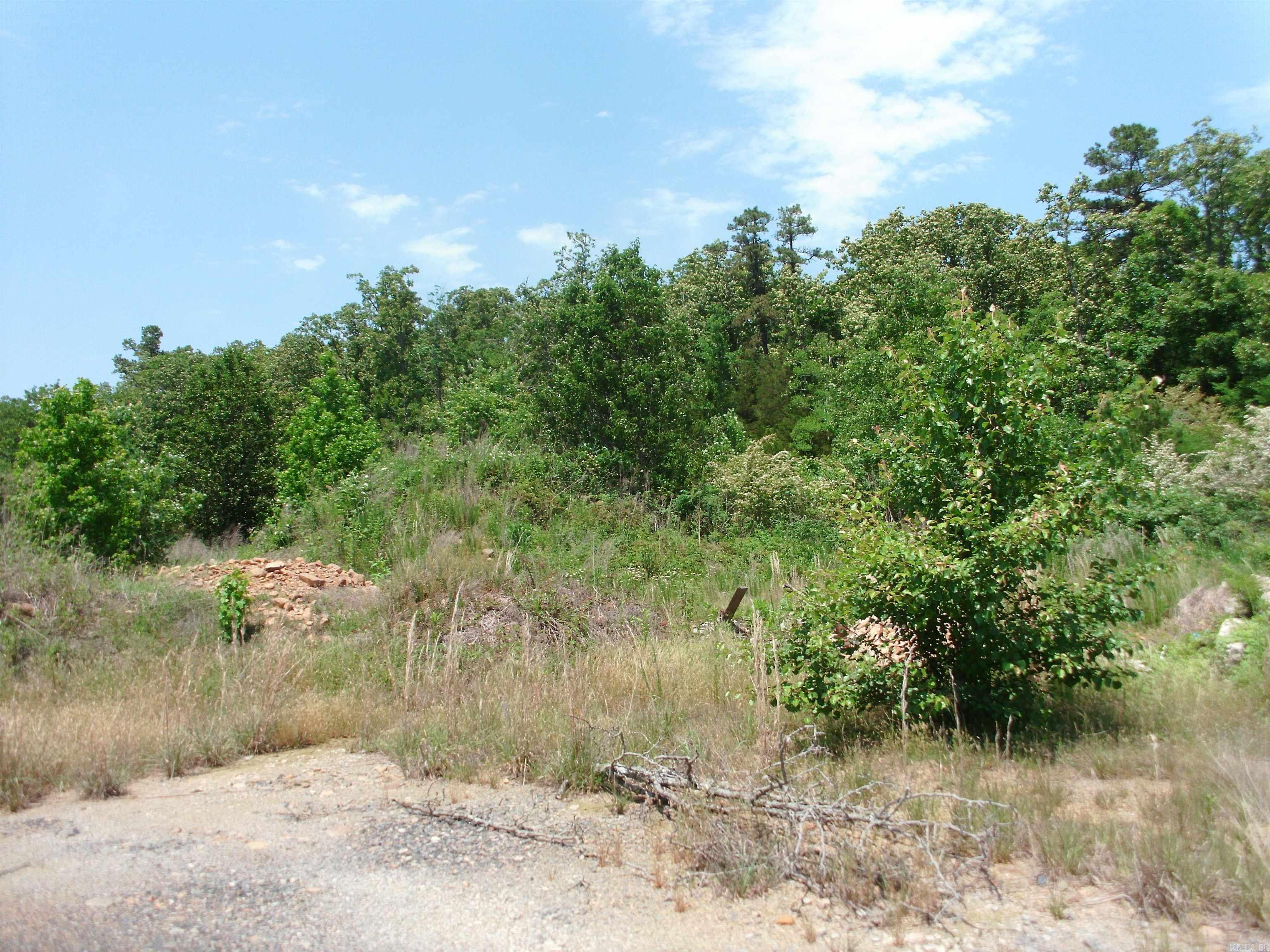 Vacant Land for sale – UNK  Geyer Drive   Mena, AR