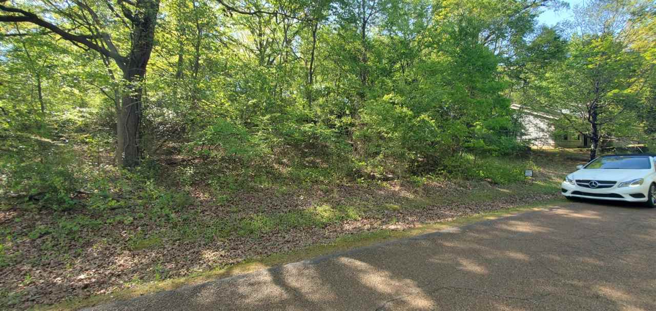 Vacant Land for sale – Lot 18  Lakeland Addition (Sugar Maple Drive)   Heber Springs, AR