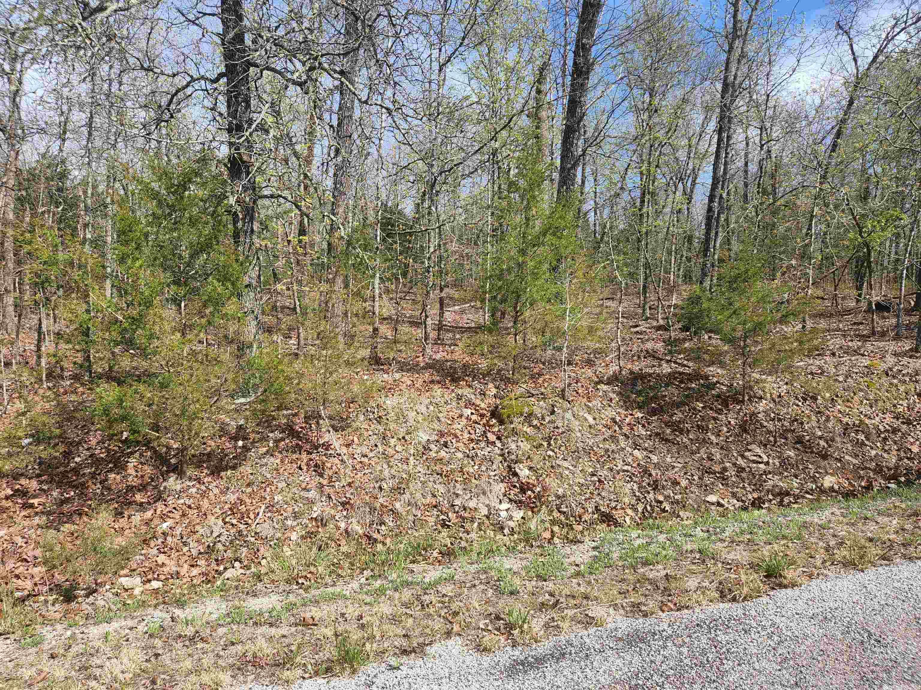 Vacant Land for sale –   Zabel   Cherokee Village, AR