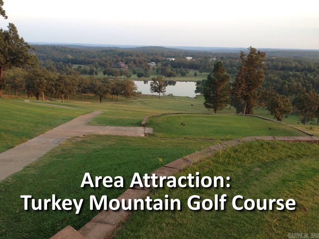 Photo 5 - Vacant Land for sale – 302 N Treasure Hills   Horseshoe Bend, AR