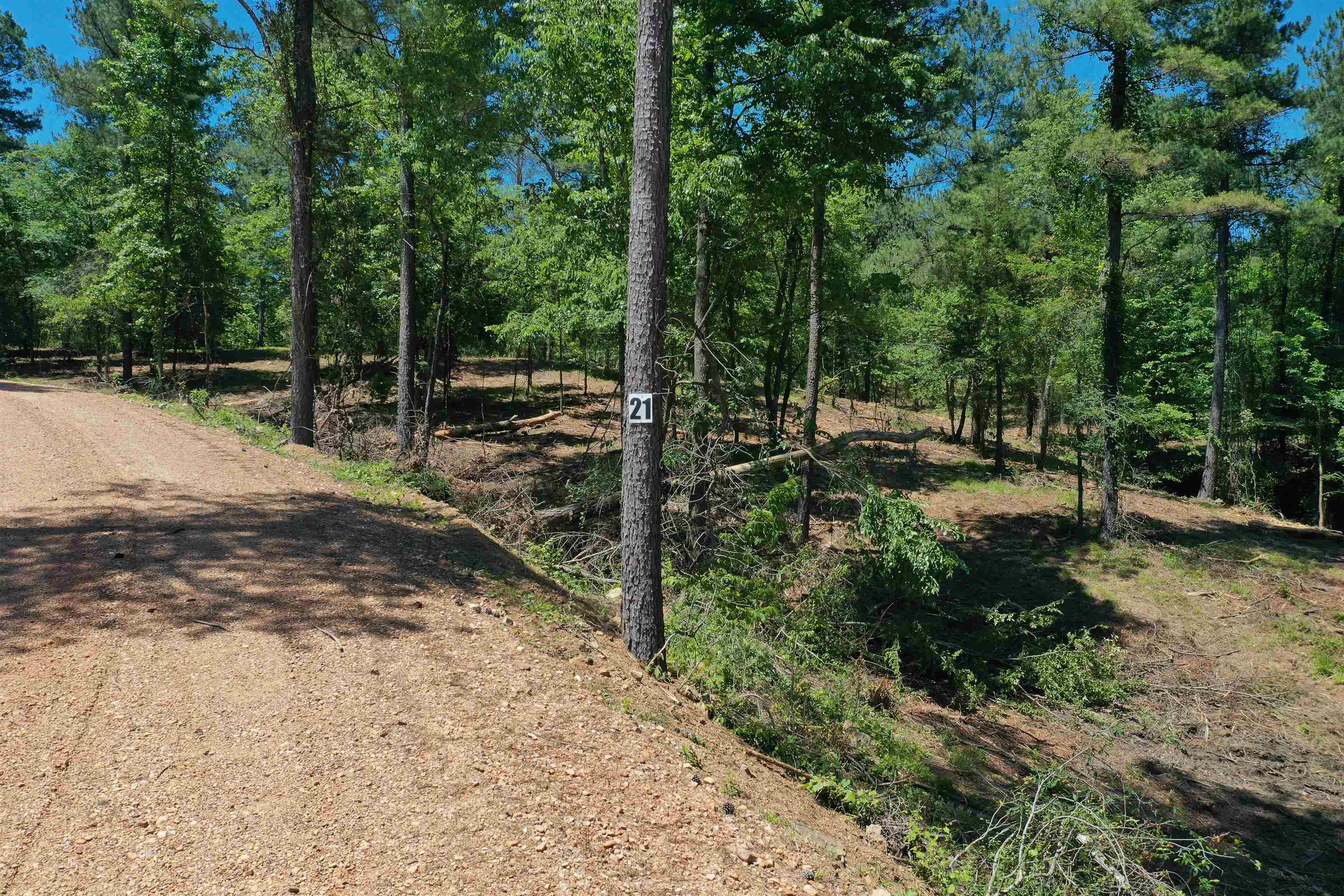 Vacant Land for sale – Lot 21  Kirby Landing   Kirby, AR