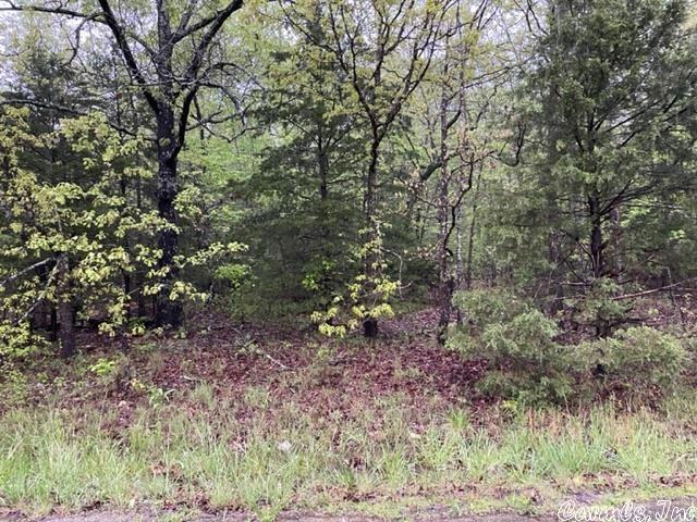 Vacant Land for sale – 1310  Pioneer Lake   Horseshoe Bend, AR