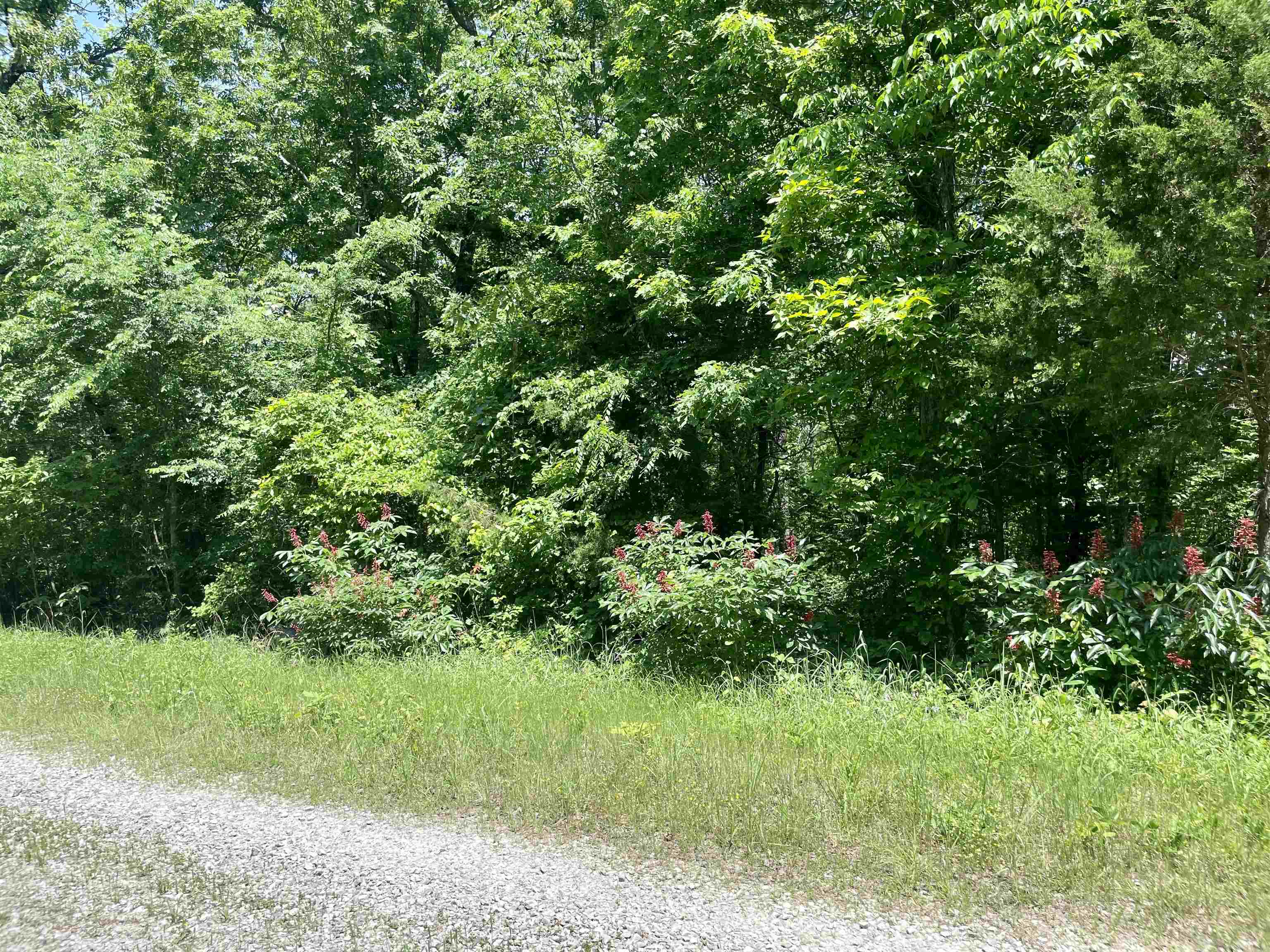 Vacant Land for sale – 008  Island View   Greers Ferry, AR