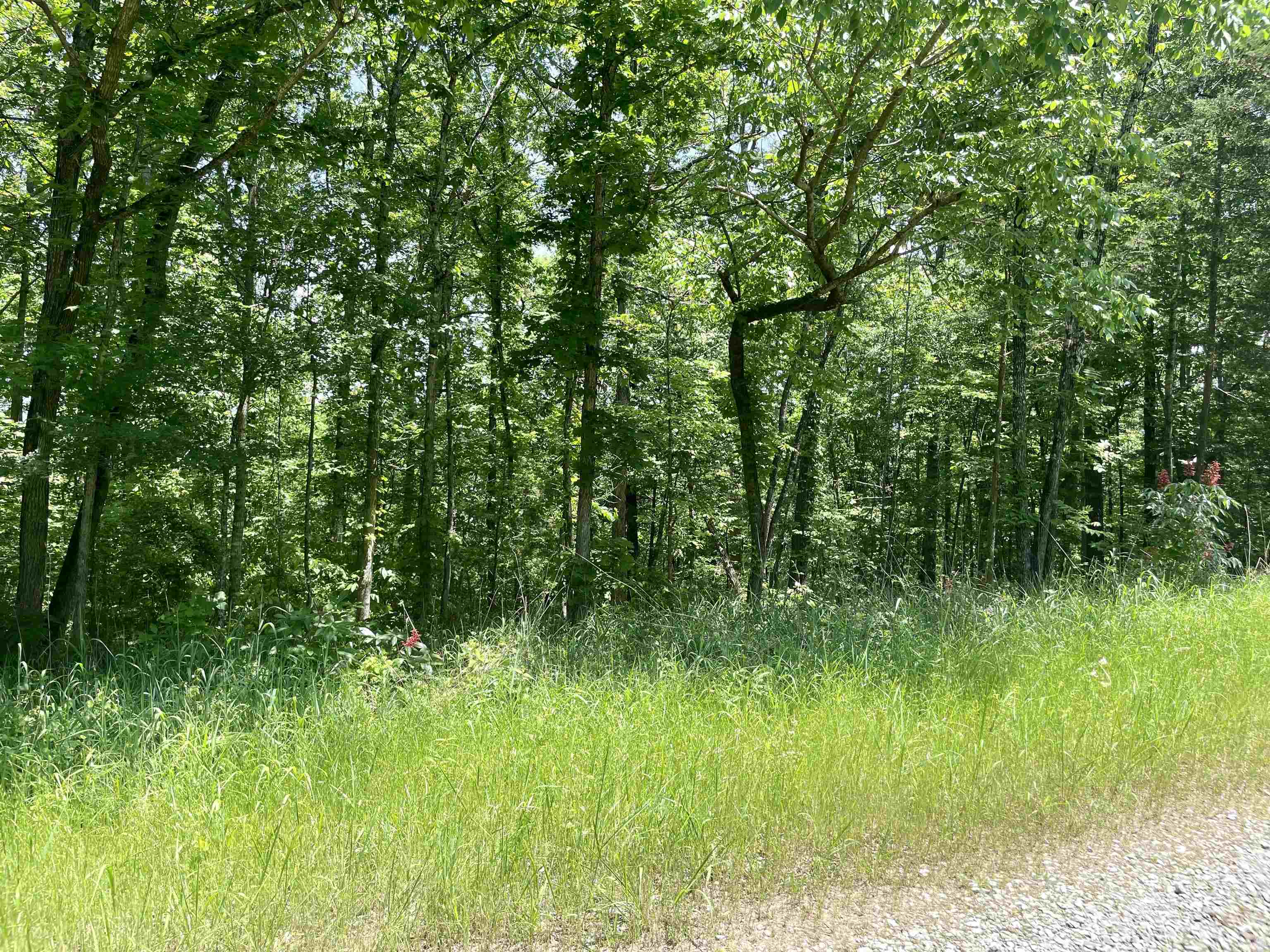 Vacant Land for sale – 009  Island View   Greers Ferry, AR