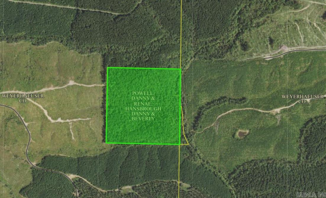 Vacant Land for sale – 9999  Weyco Road   Wickes, AR