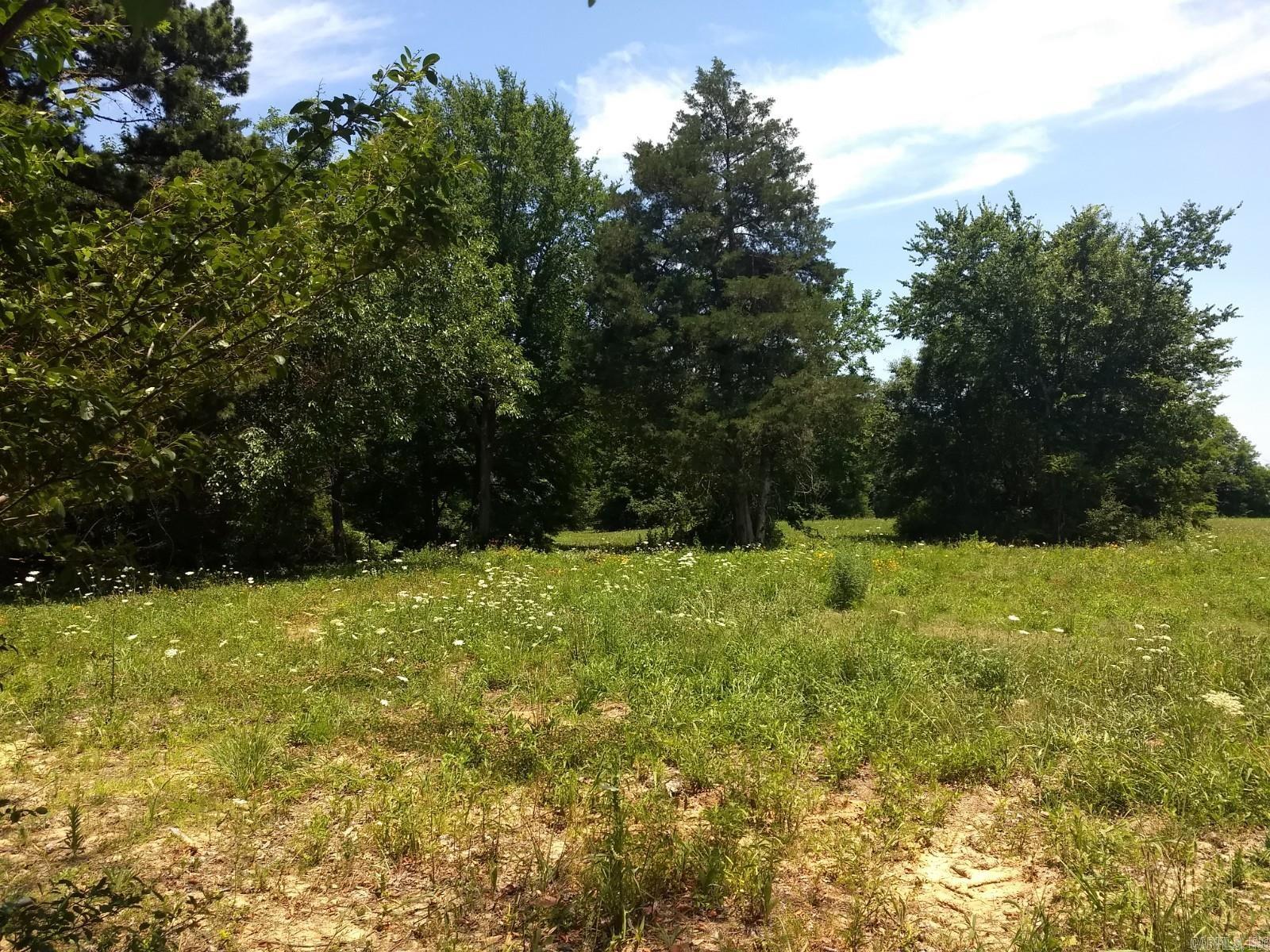 Photo 2 - Vacant Land for sale – 2300  Browns   Jonesboro, AR