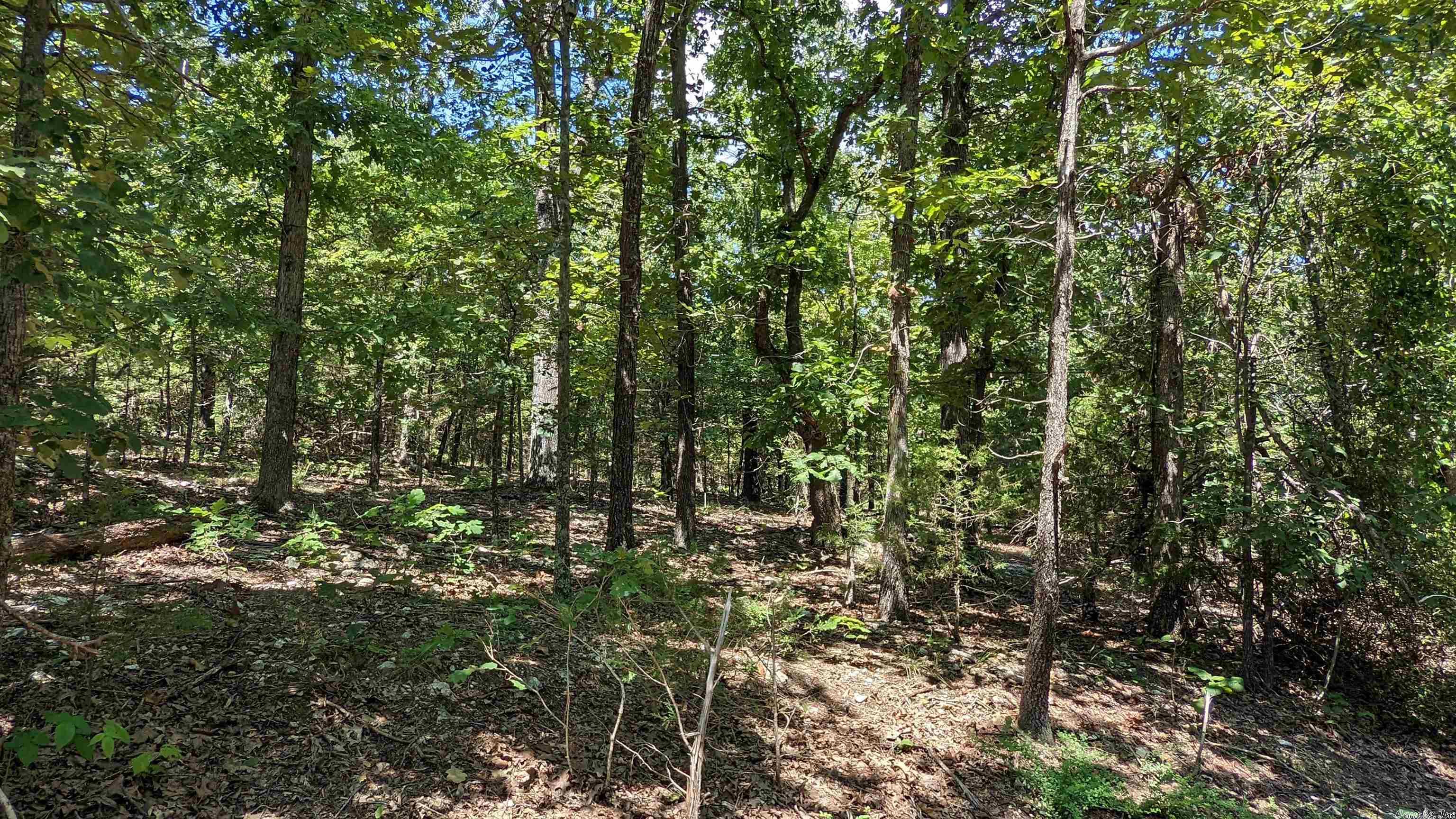 Vacant Land for sale –   Coyote   Cherokee Village, AR