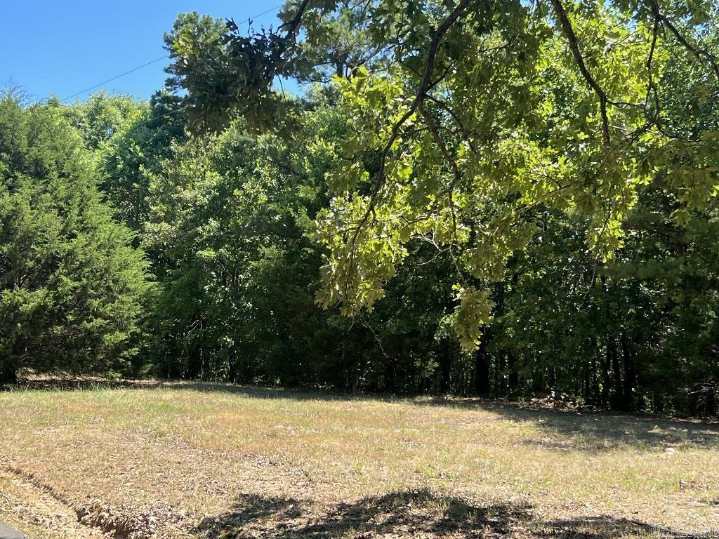 Vacant Land for sale – Unk  Dogwood Springs   Mena, AR