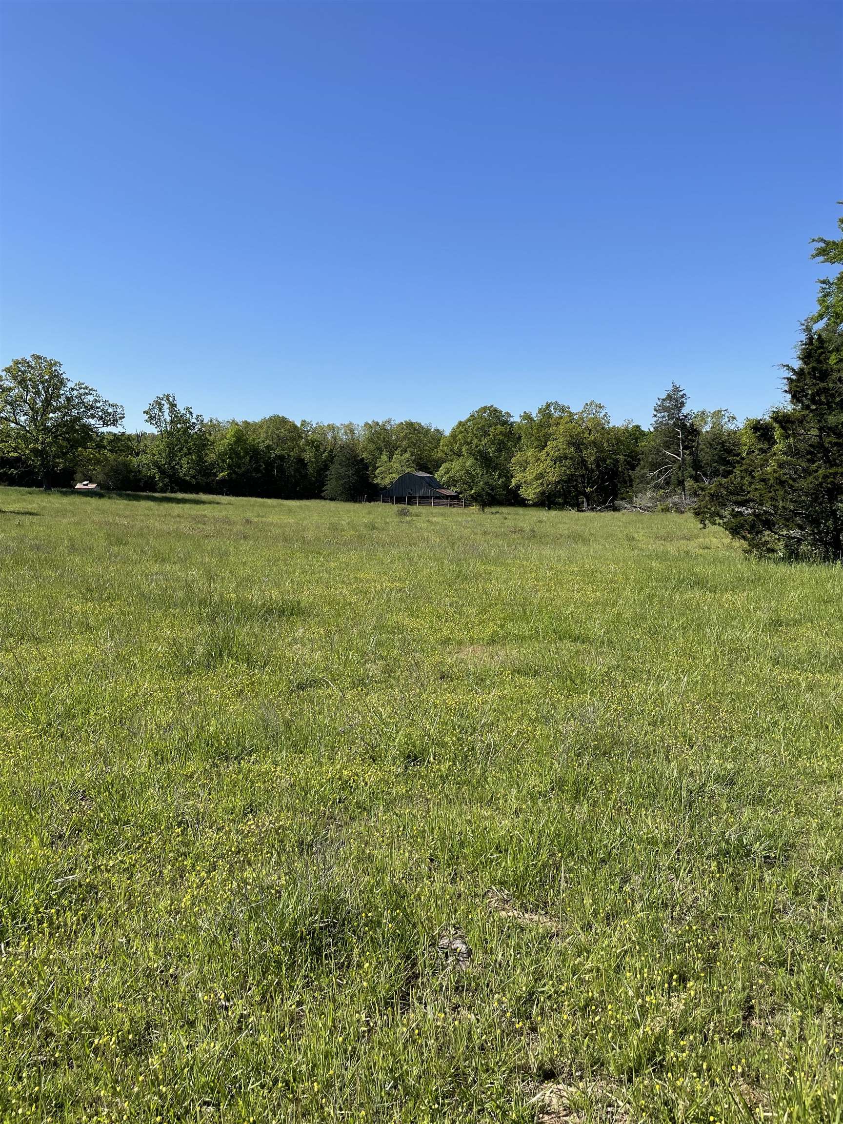 Vacant Land for sale – 0  Hwy 345   Oxford, AR