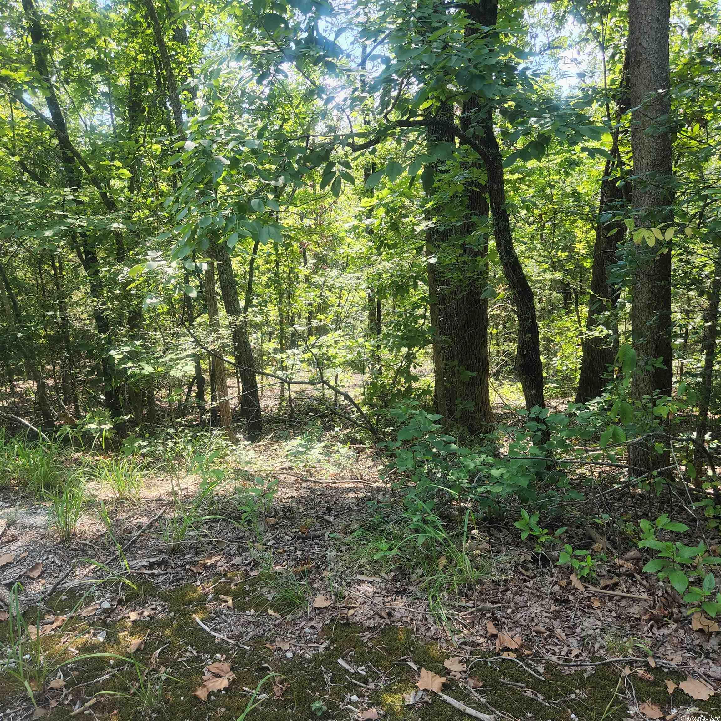 Vacant Land for sale – L-46 B 9  Pahokee   Cherokee Village, AR
