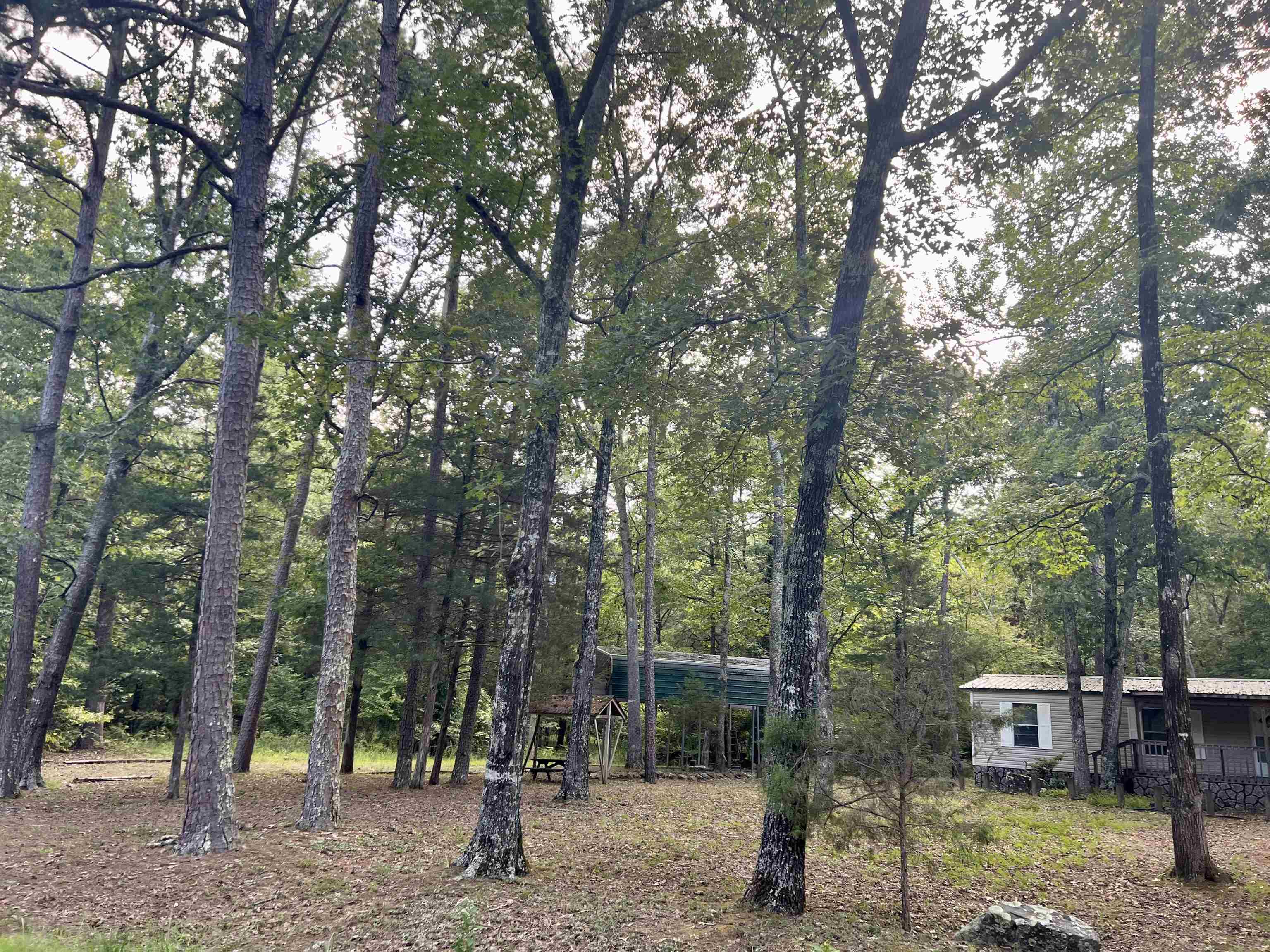 1003 Cove Creek Quitman, AR 72131 MLS 22030461