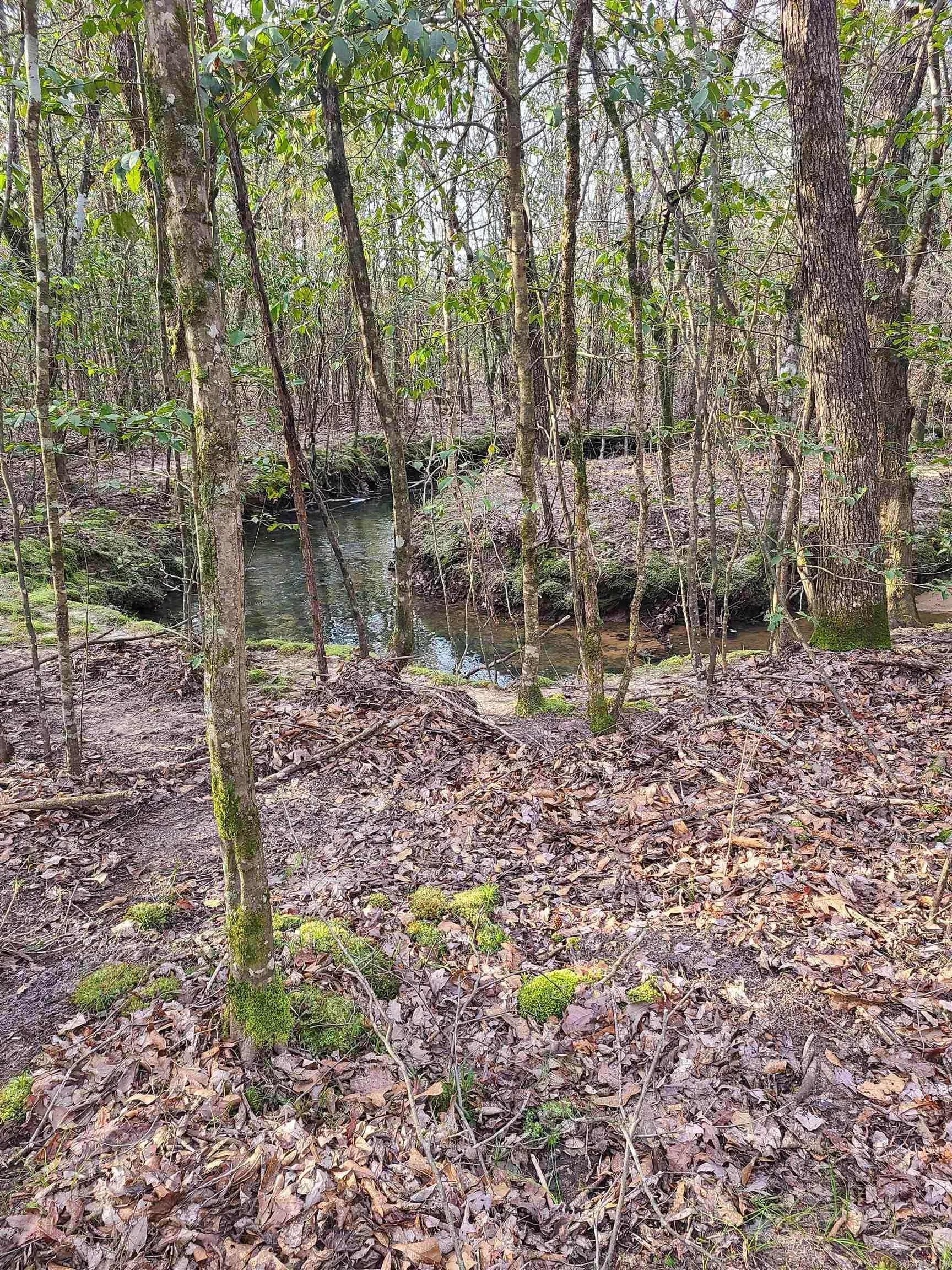 TBD Polk 158 Parcel 4 Hatfield, AR 71945 MLS 22031214