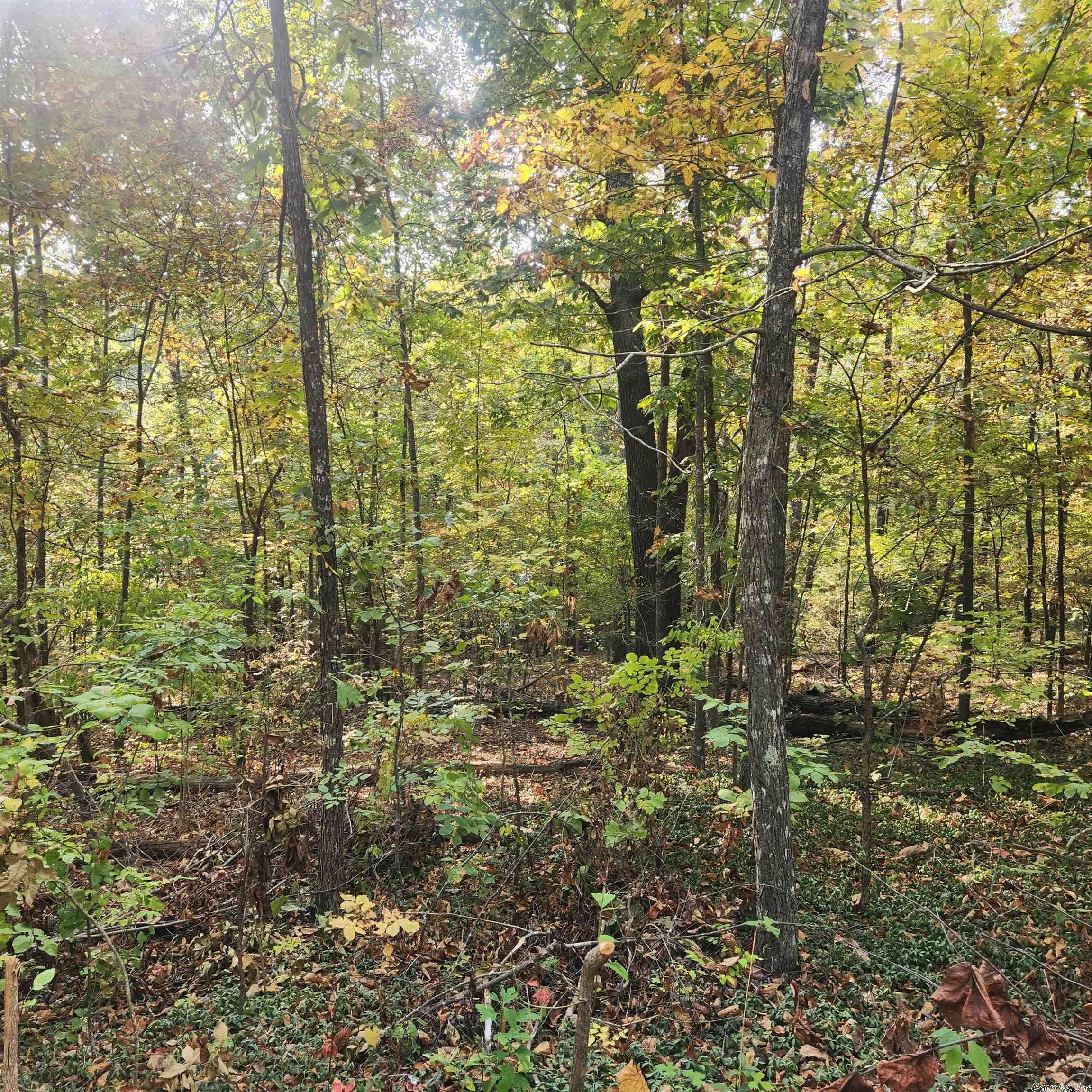 Vacant Land for sale – L-24 B-6  Navajo   Cherokee Village, AR