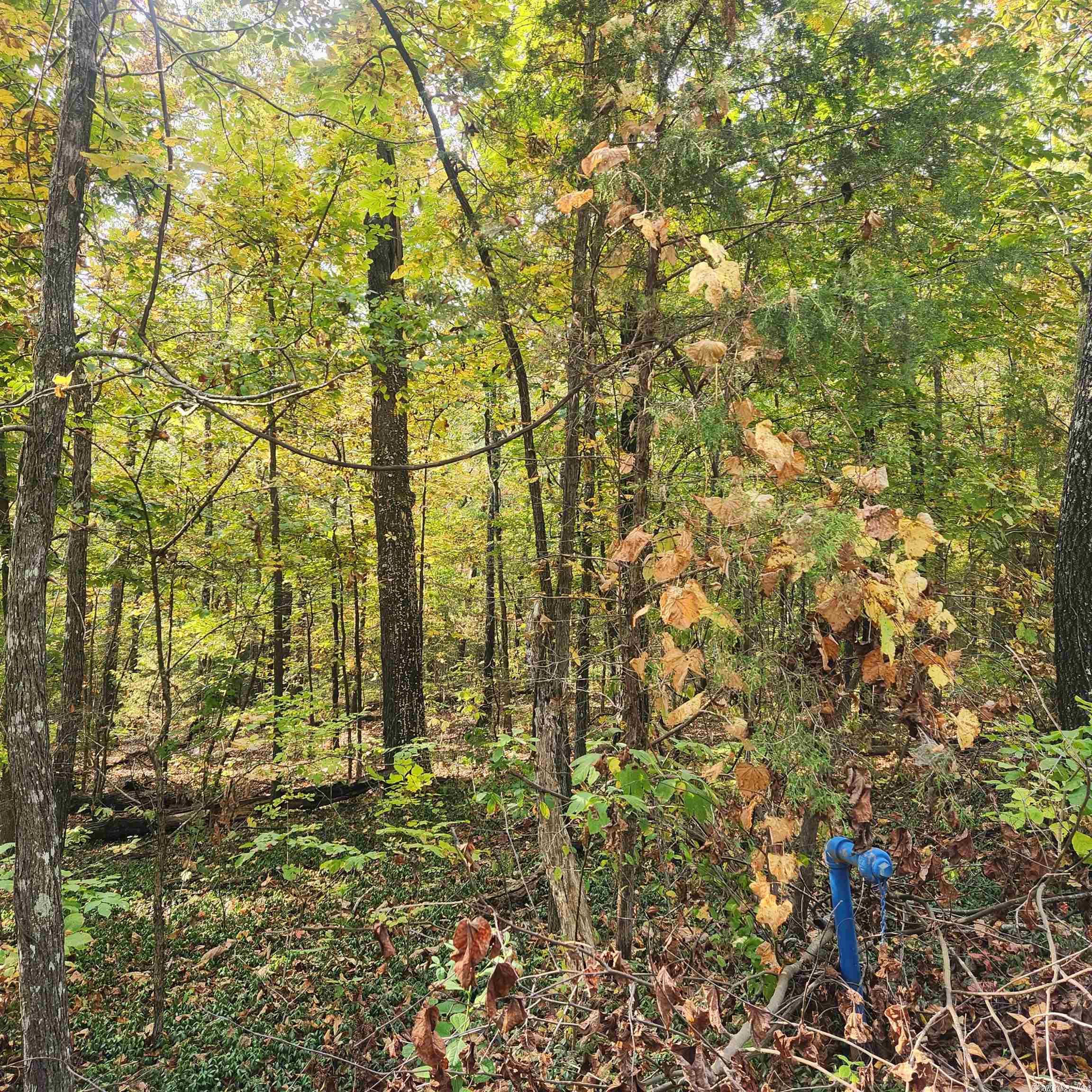 Photo 2 - Vacant Land for sale – L-24 B-6  Navajo   Cherokee Village, AR