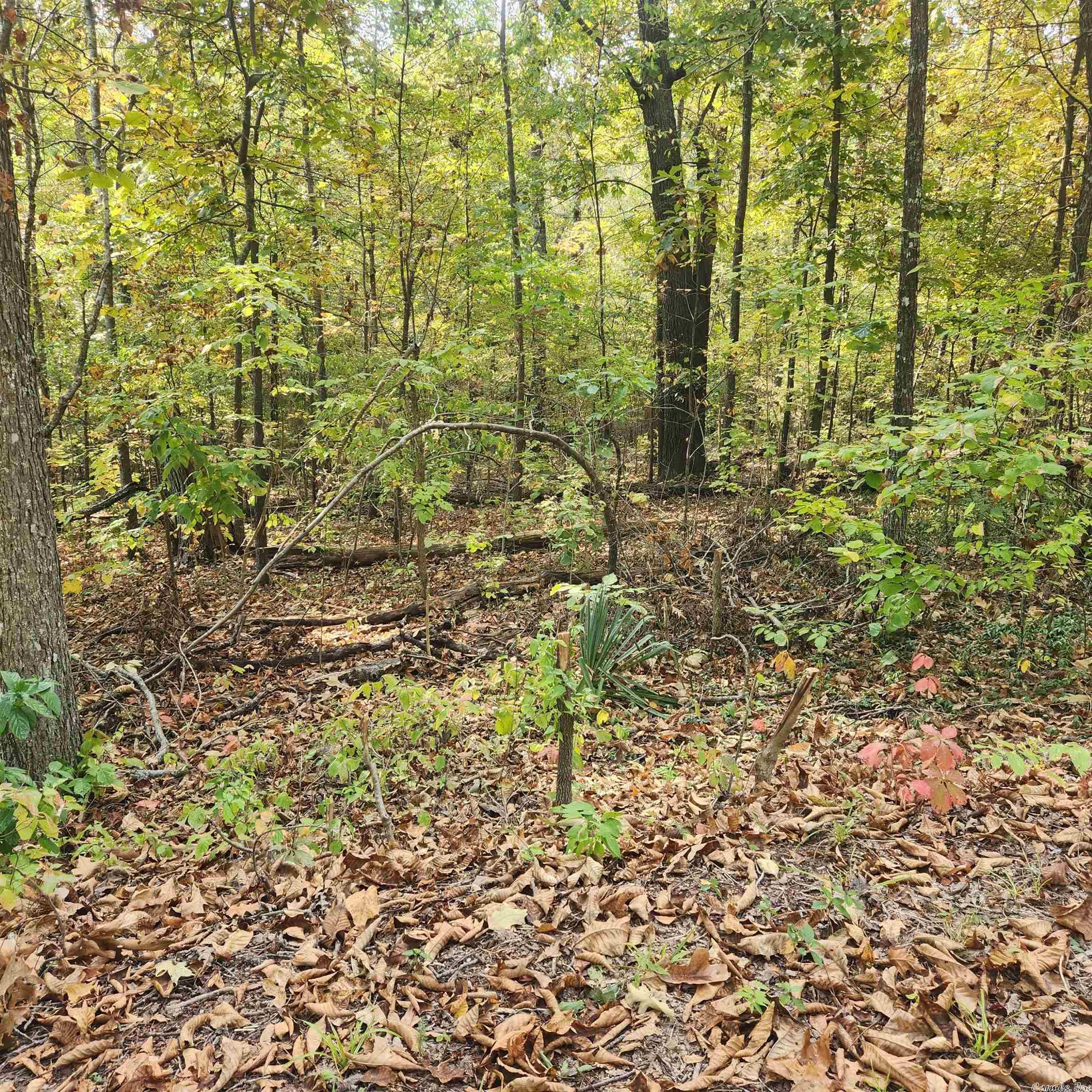 Photo 11 - Vacant Land for sale – L-24 B-6  Navajo   Cherokee Village, AR
