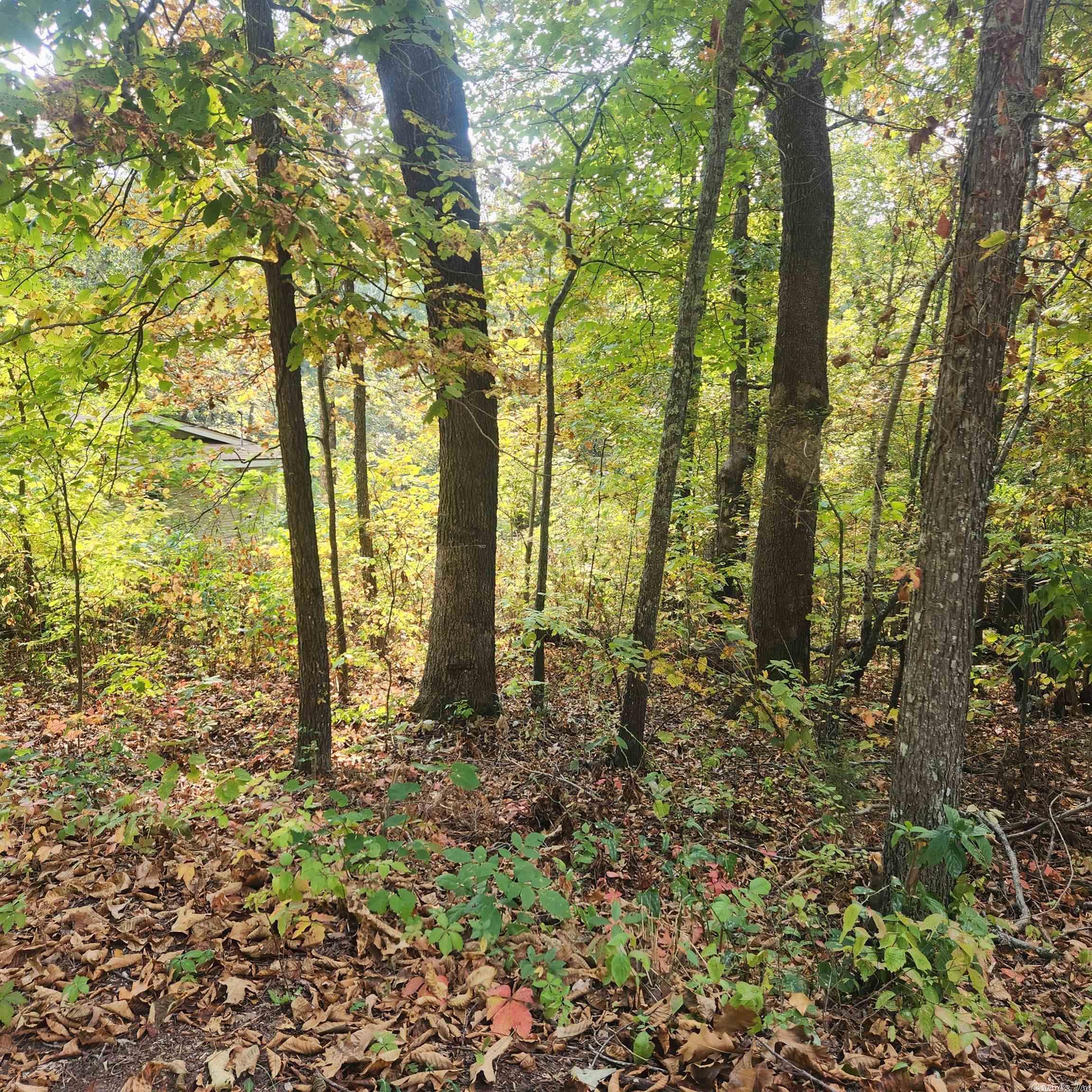 Photo 12 - Vacant Land for sale – L-24 B-6  Navajo   Cherokee Village, AR
