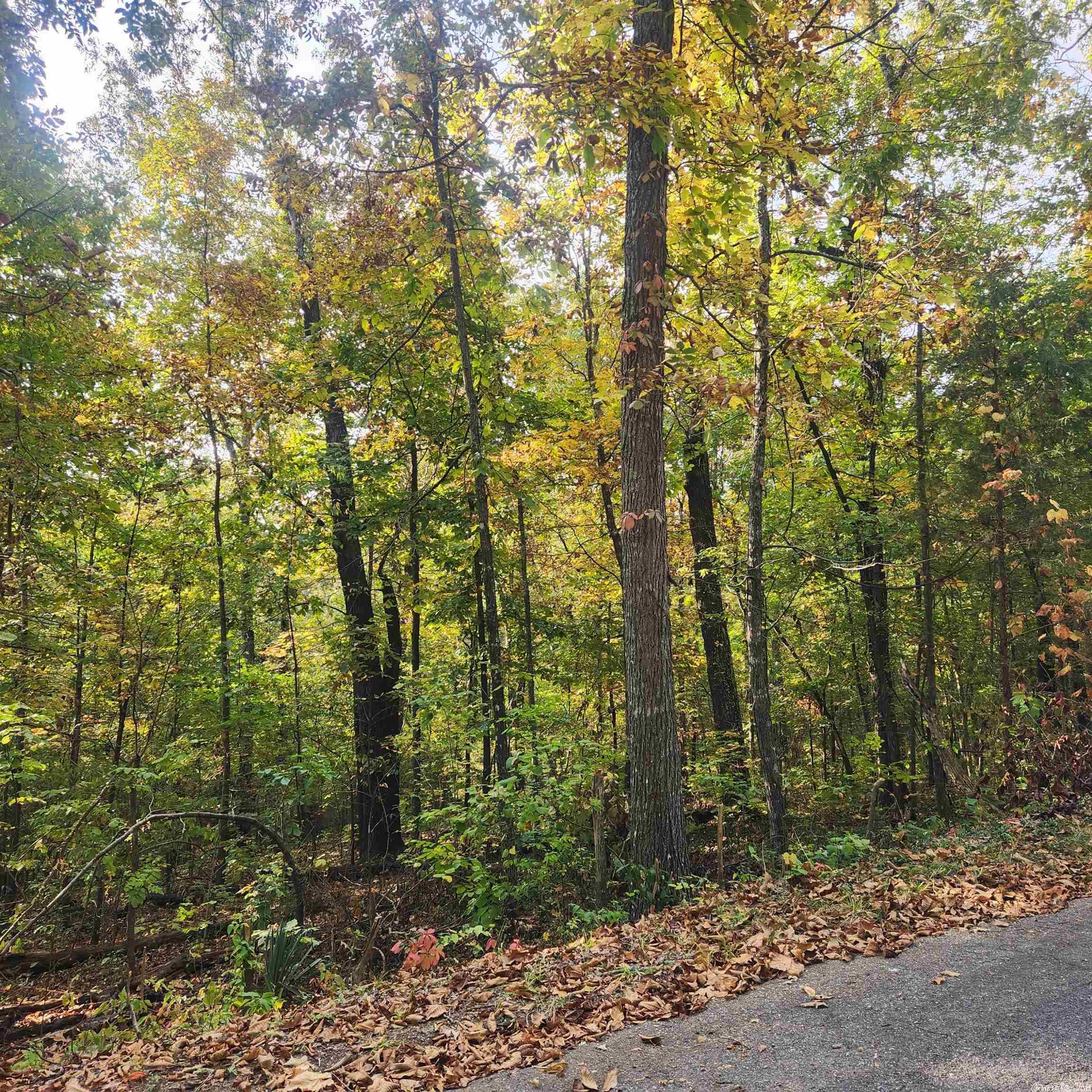 Photo 16 - Vacant Land for sale – L-24 B-6  Navajo   Cherokee Village, AR