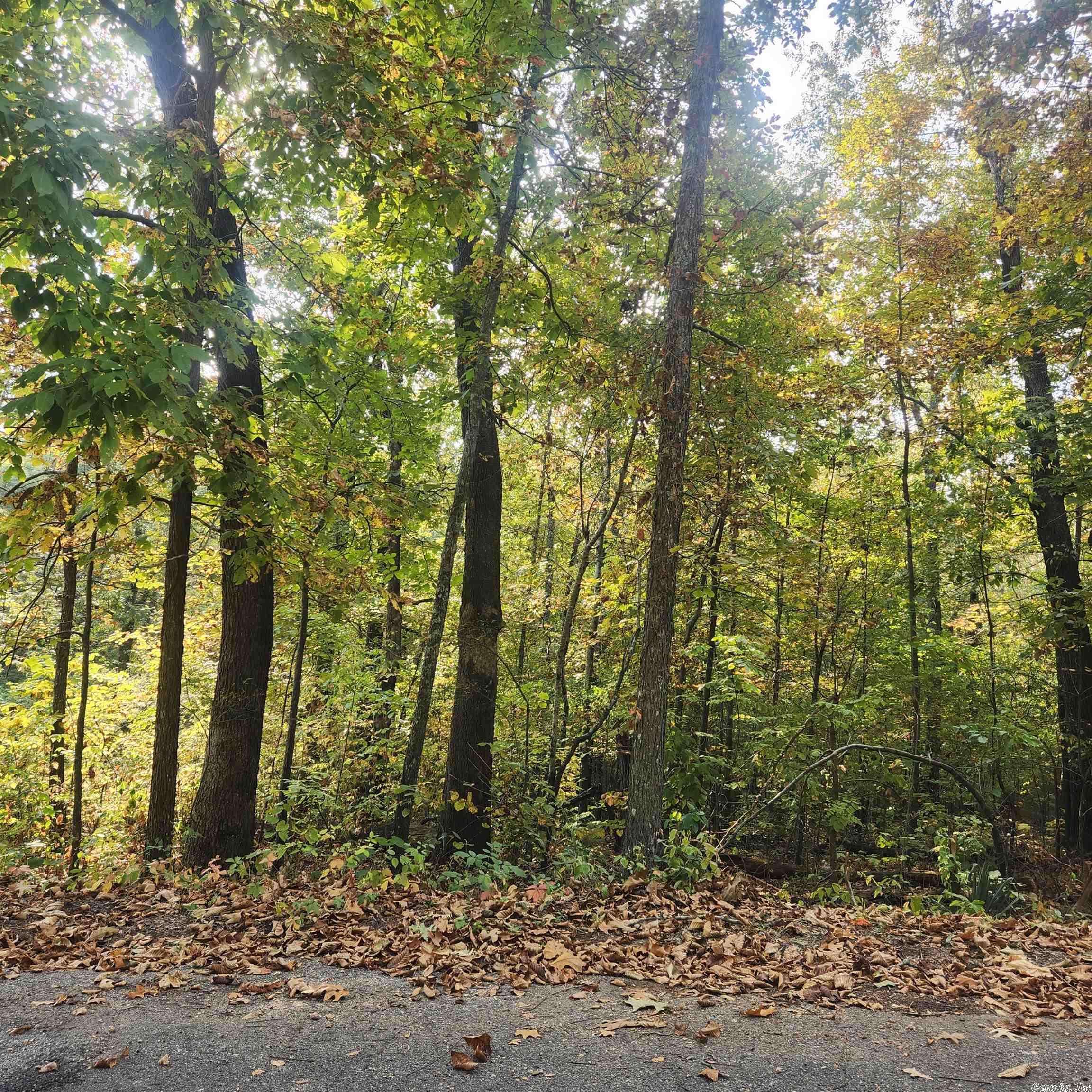 Photo 17 - Vacant Land for sale – L-24 B-6  Navajo   Cherokee Village, AR
