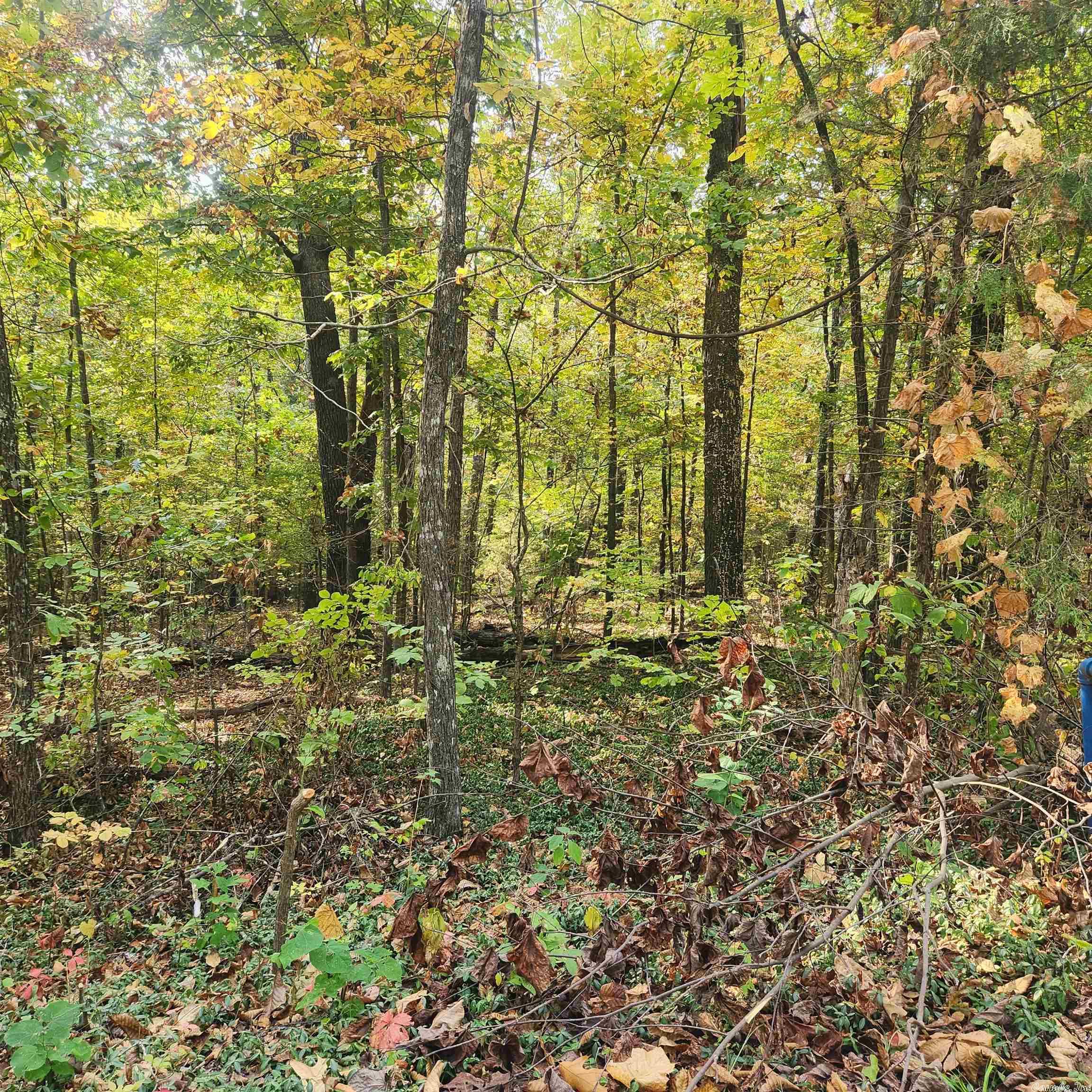 Photo 19 - Vacant Land for sale – L-24 B-6  Navajo   Cherokee Village, AR