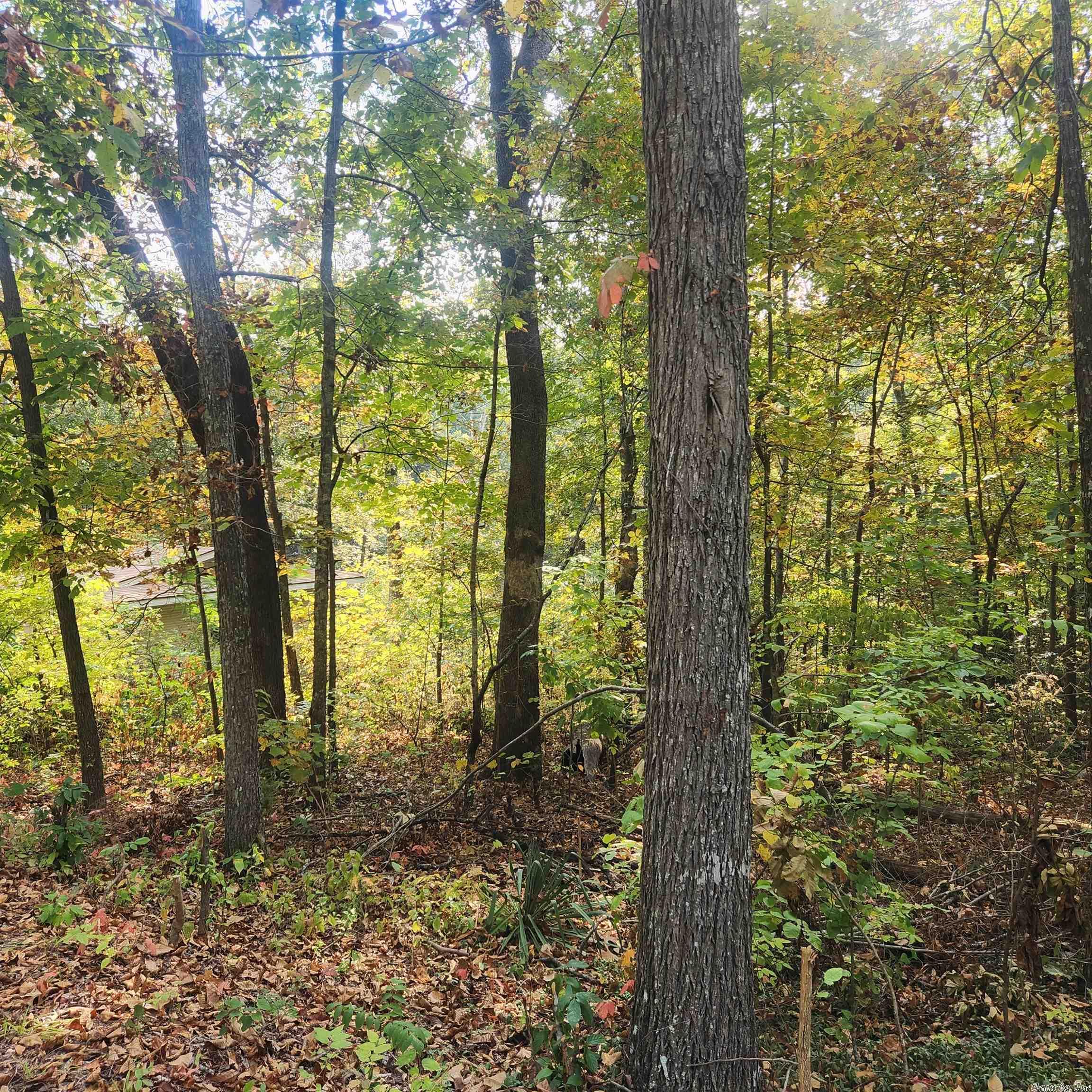 Photo 3 - Vacant Land for sale – L-24 B-6  Navajo   Cherokee Village, AR