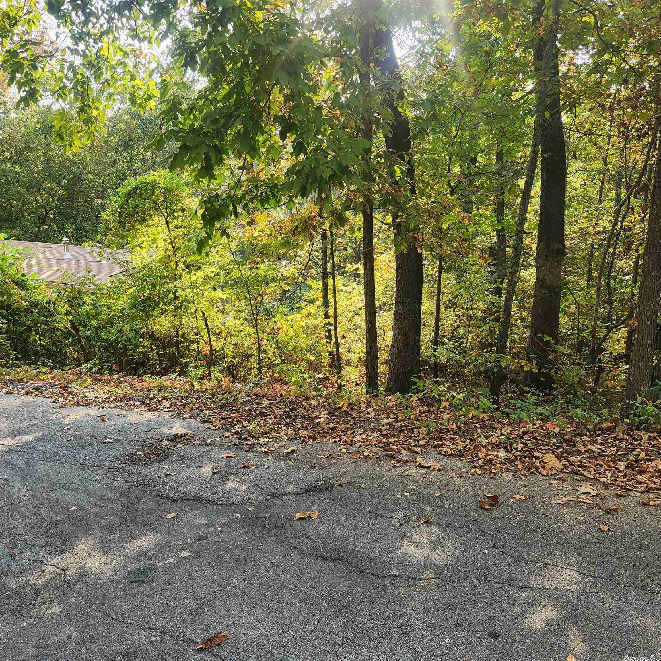 Photo 5 - Vacant Land for sale – L-24 B-6  Navajo   Cherokee Village, AR