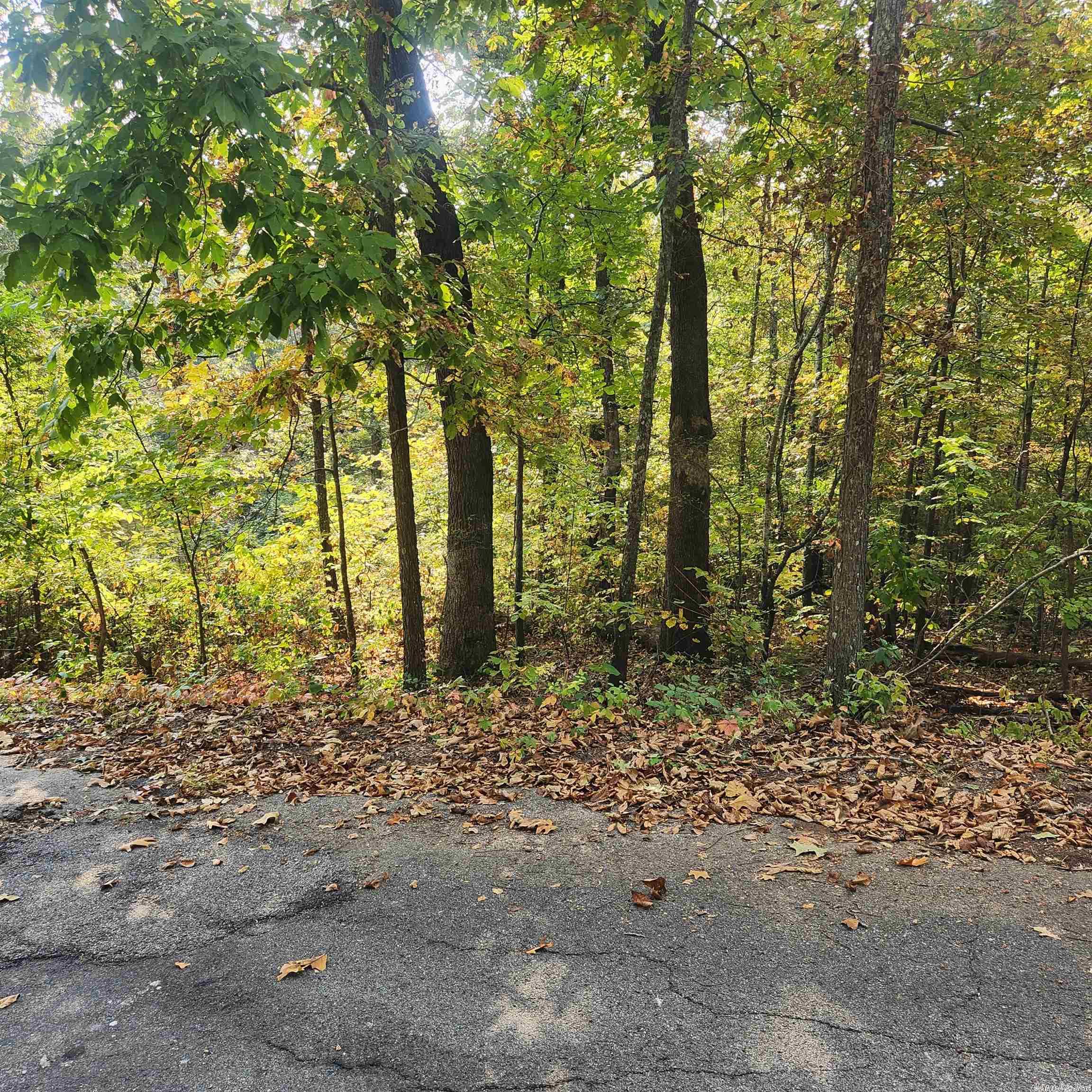 Photo 6 - Vacant Land for sale – L-24 B-6  Navajo   Cherokee Village, AR