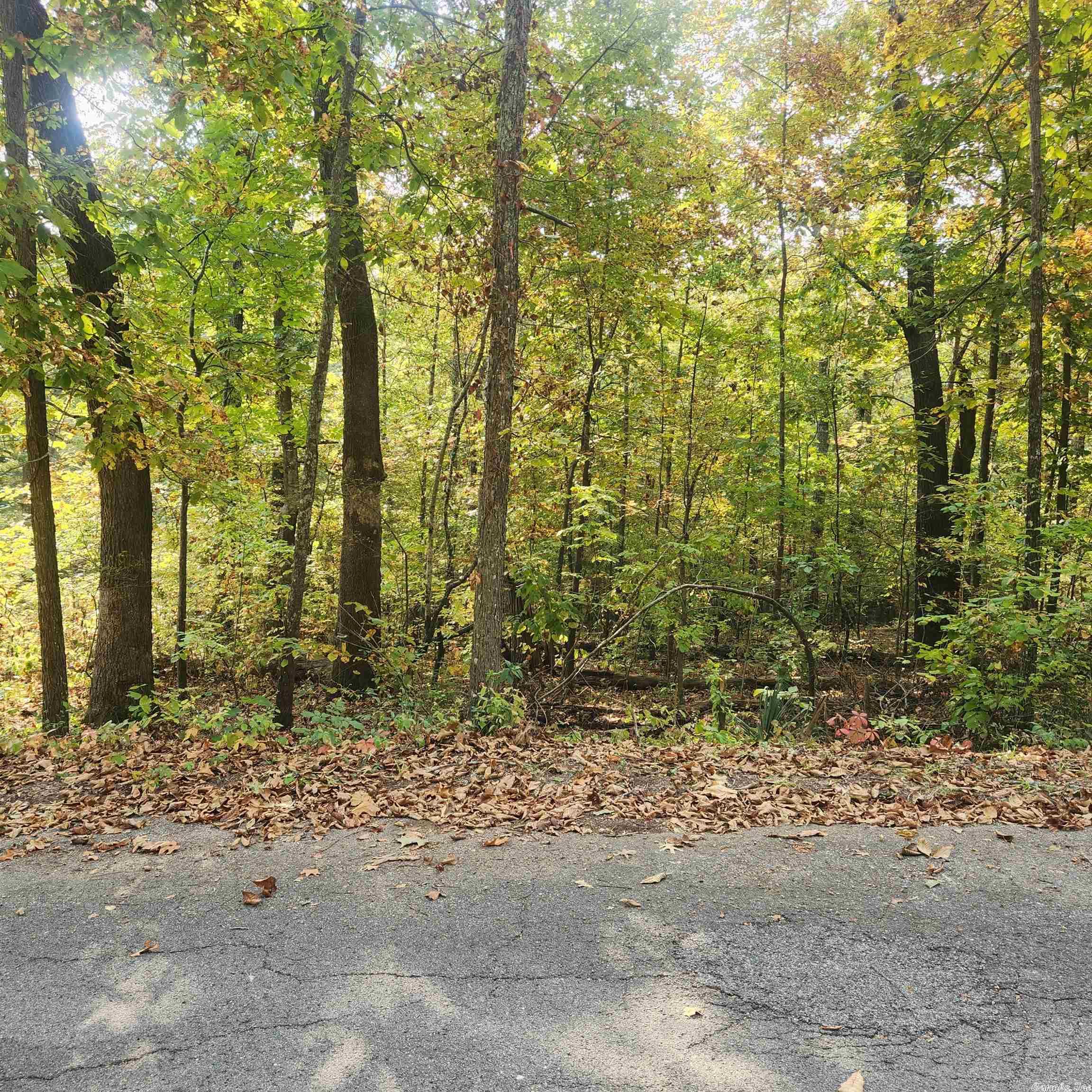 Photo 7 - Vacant Land for sale – L-24 B-6  Navajo   Cherokee Village, AR