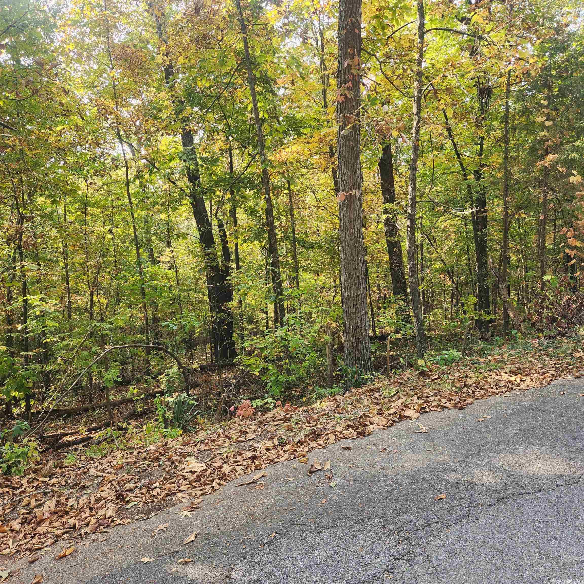 Photo 8 - Vacant Land for sale – L-24 B-6  Navajo   Cherokee Village, AR