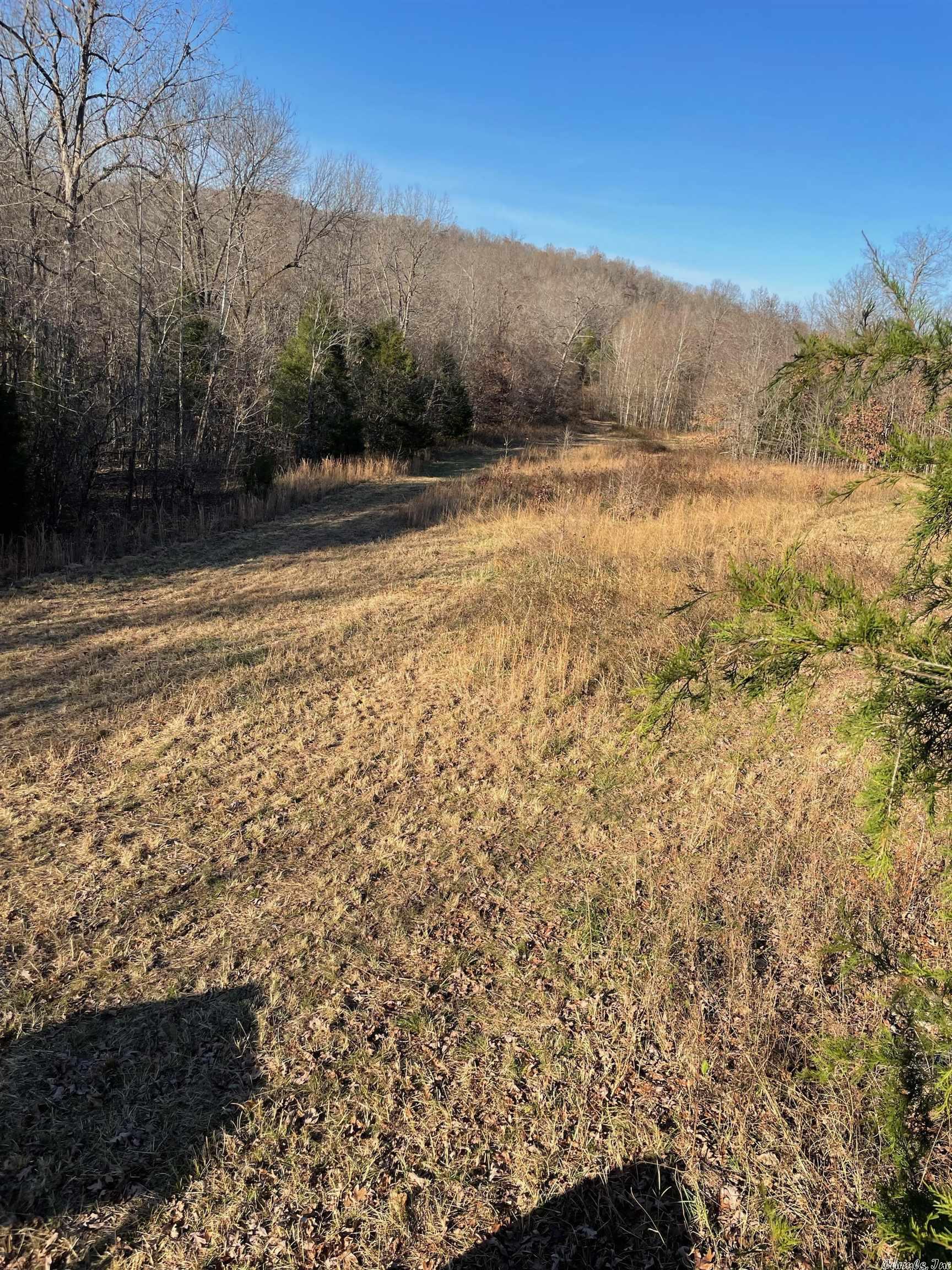 Vacant Land for sale –   Martin Creek   Williford, AR