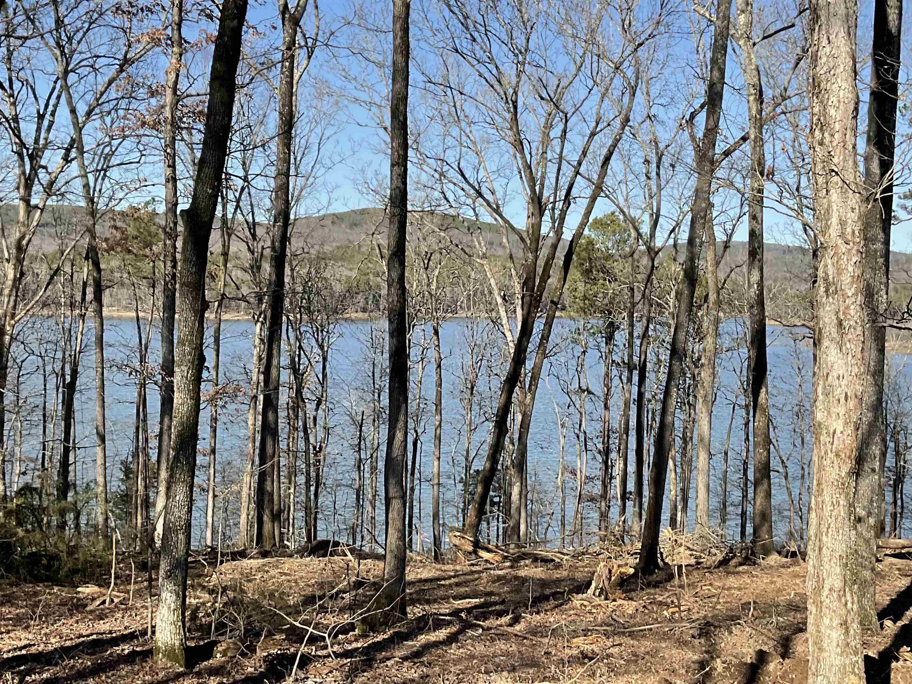 Vacant Land for sale – L5  Elrod Dr.   Greers Ferry, AR