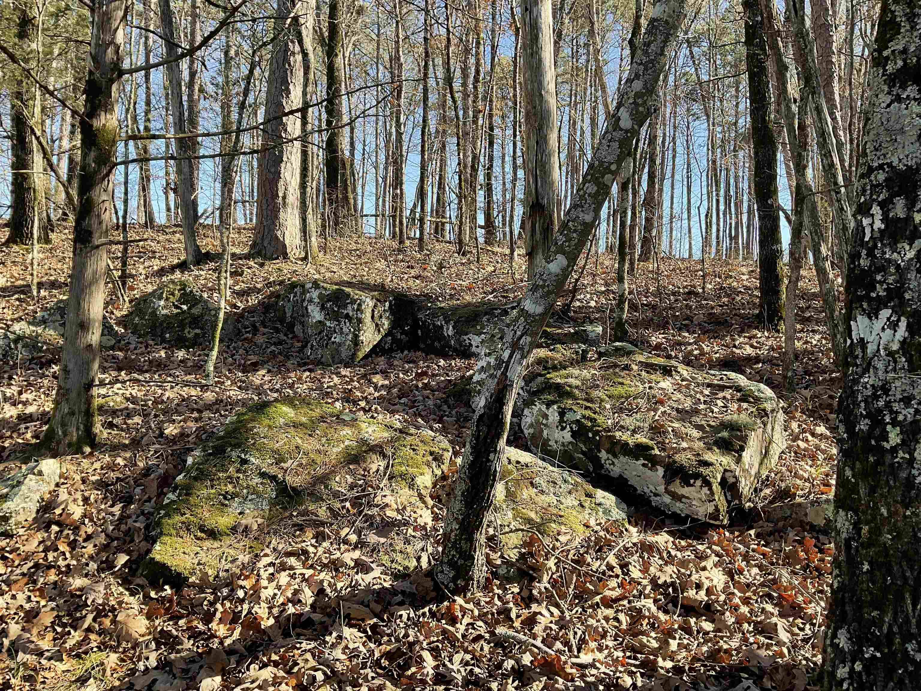 Photo 14 - Vacant Land for sale – L5  Elrod Dr.   Greers Ferry, AR