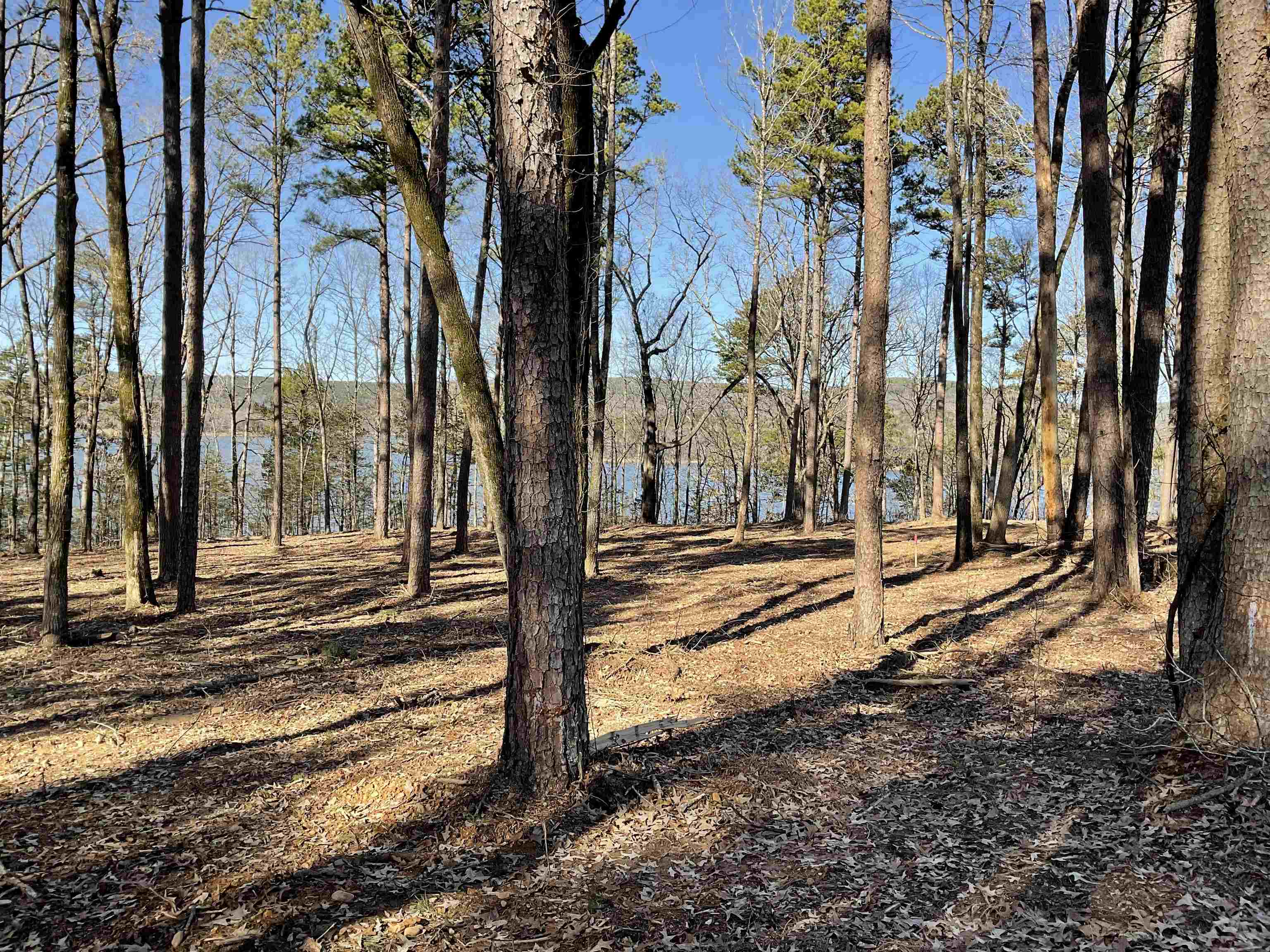 Photo 18 - Vacant Land for sale – L5  Elrod Dr.   Greers Ferry, AR