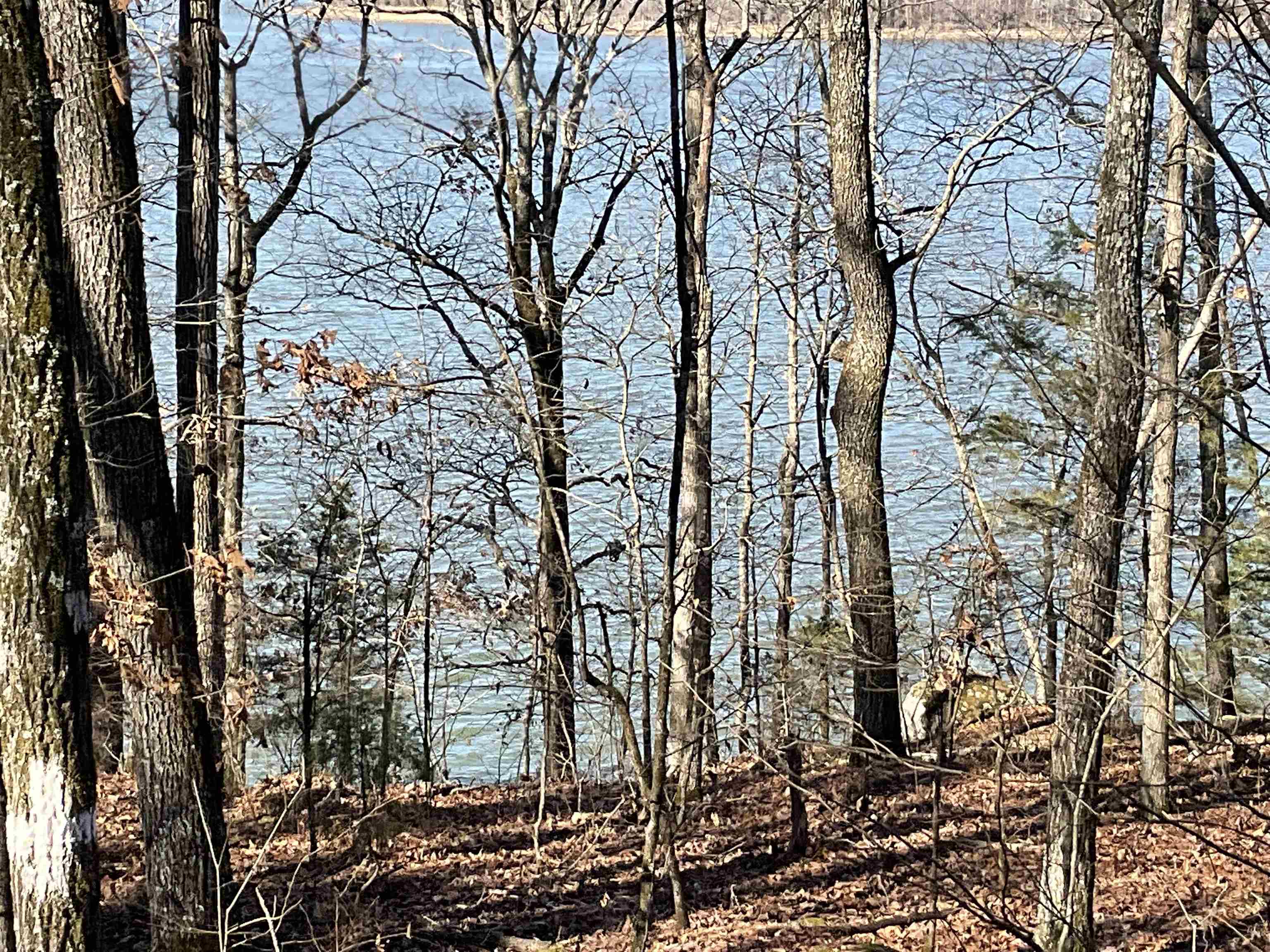 Photo 20 - Vacant Land for sale – L5  Elrod Dr.   Greers Ferry, AR