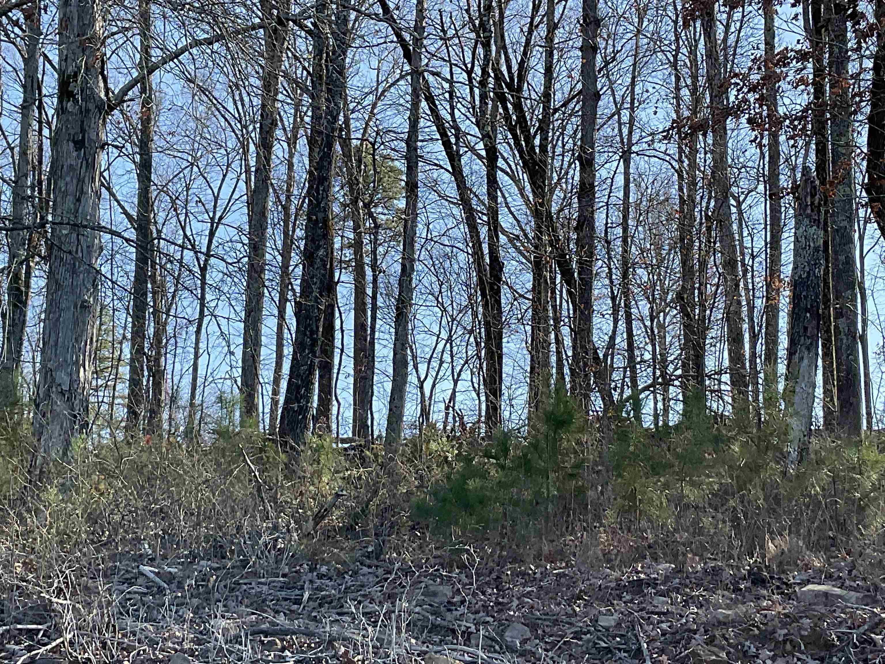 Photo 3 - Vacant Land for sale – L5  Elrod Dr.   Greers Ferry, AR