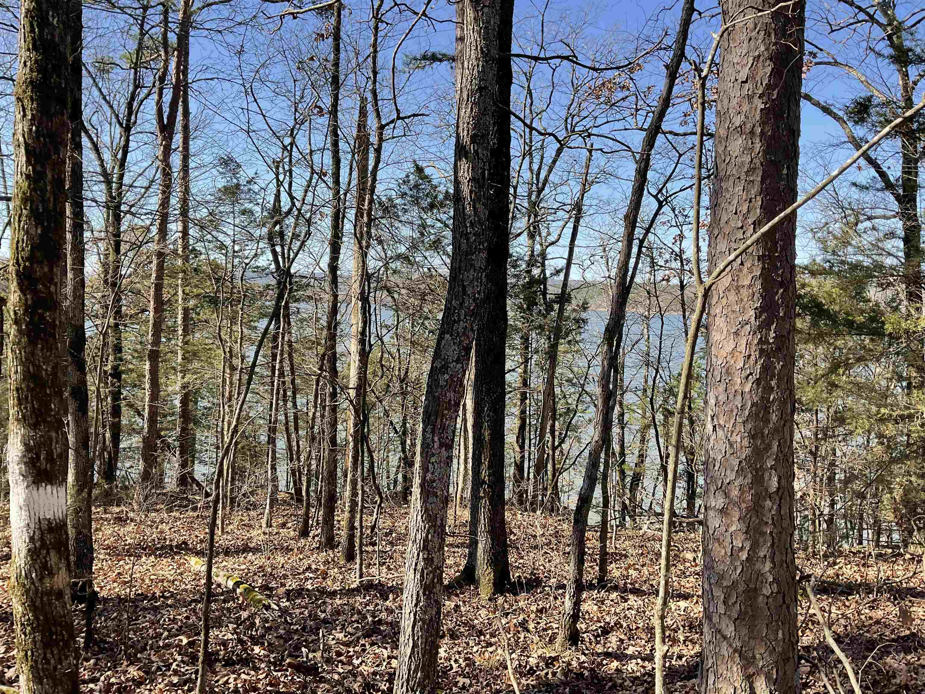 Photo 24 - Vacant Land for sale – L5  Elrod Dr.   Greers Ferry, AR