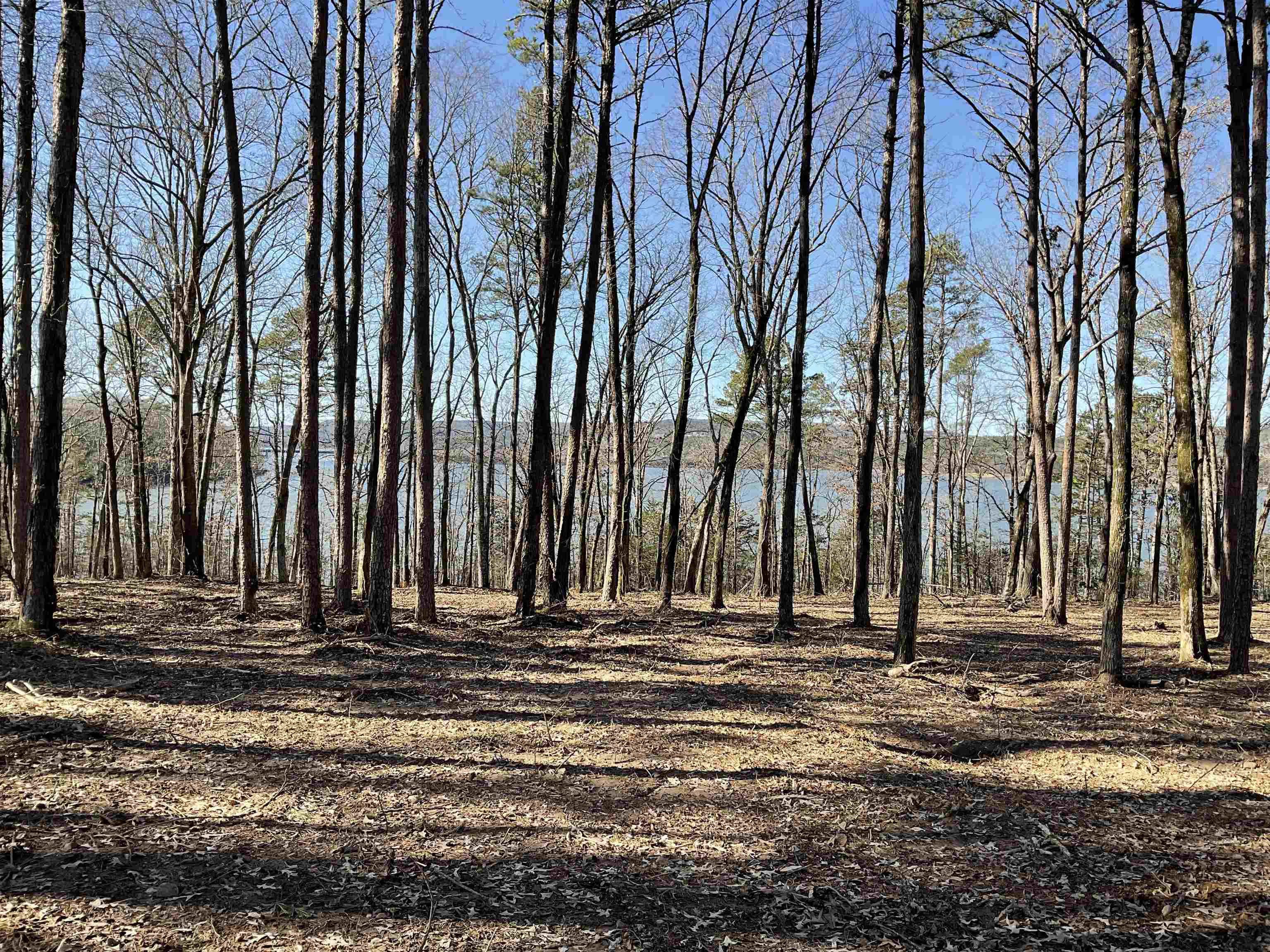Photo 25 - Vacant Land for sale – L5  Elrod Dr.   Greers Ferry, AR