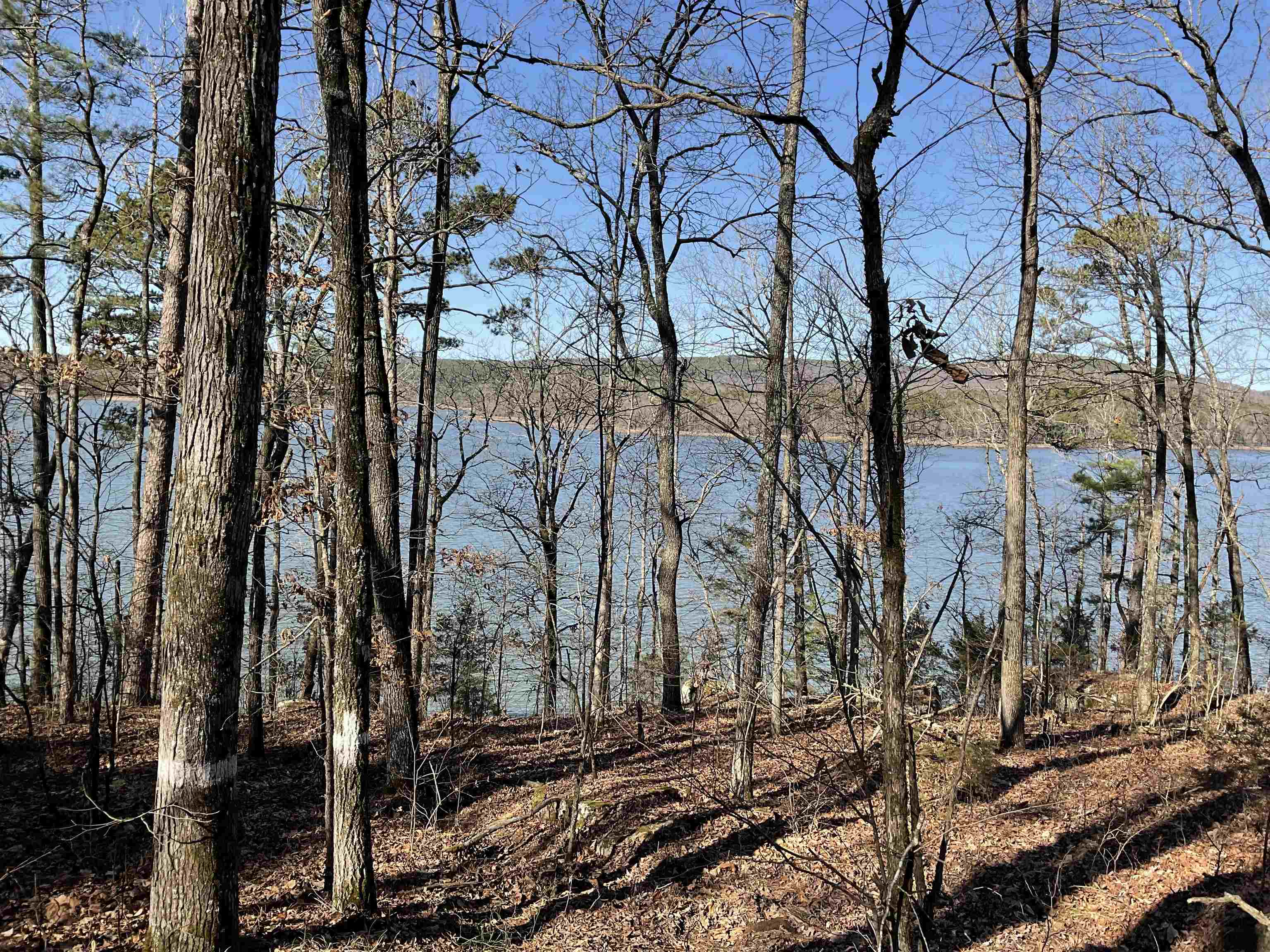 Photo 26 - Vacant Land for sale – L5  Elrod Dr.   Greers Ferry, AR