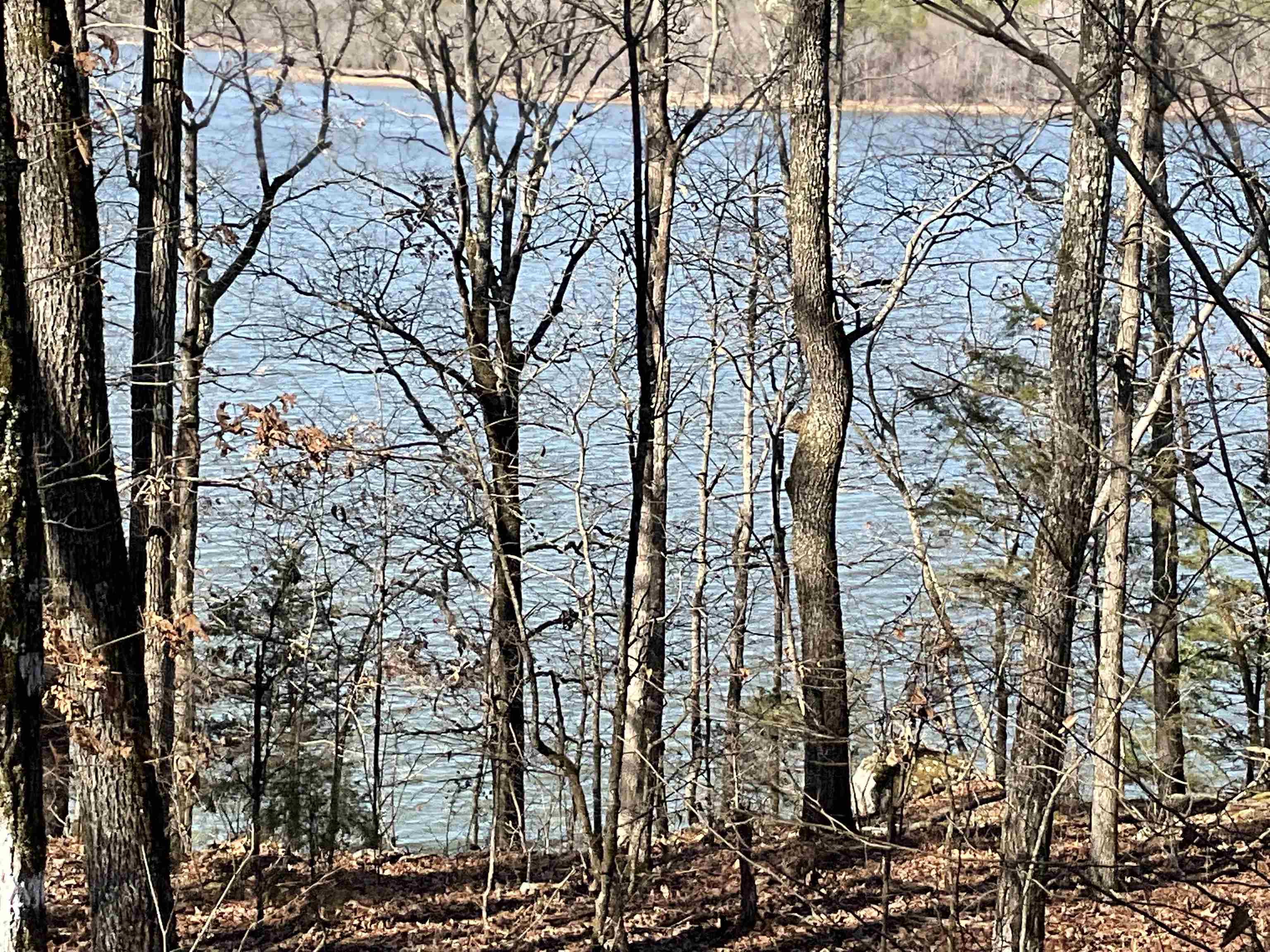 Photo 23 - Vacant Land for sale – L7  Elrod Dr.   Greers Ferry, AR