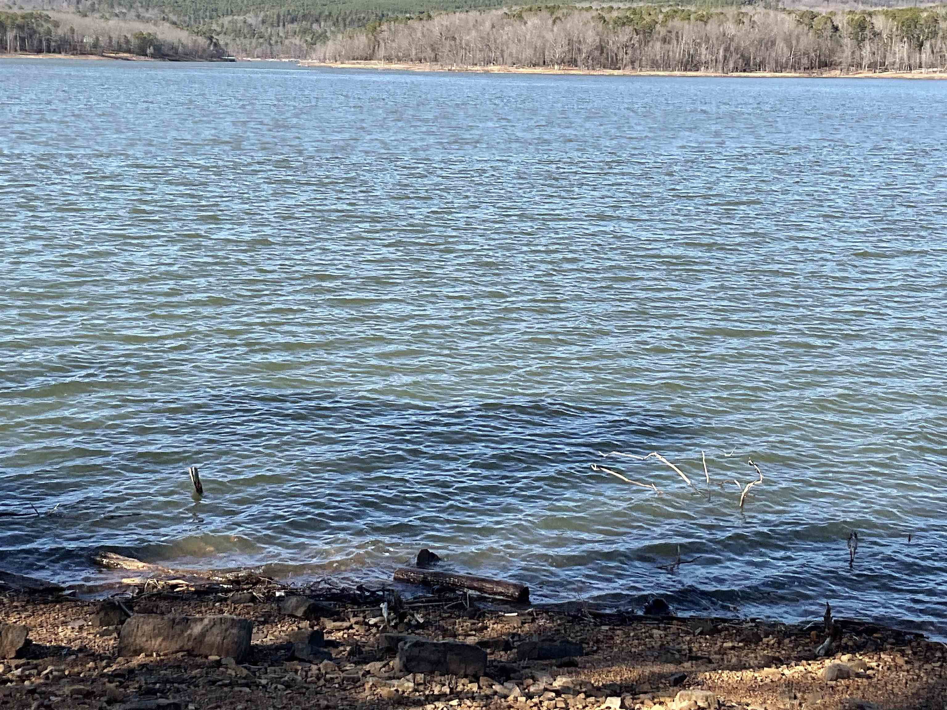 Photo 9 - Vacant Land for sale – L7  Elrod Dr.   Greers Ferry, AR
