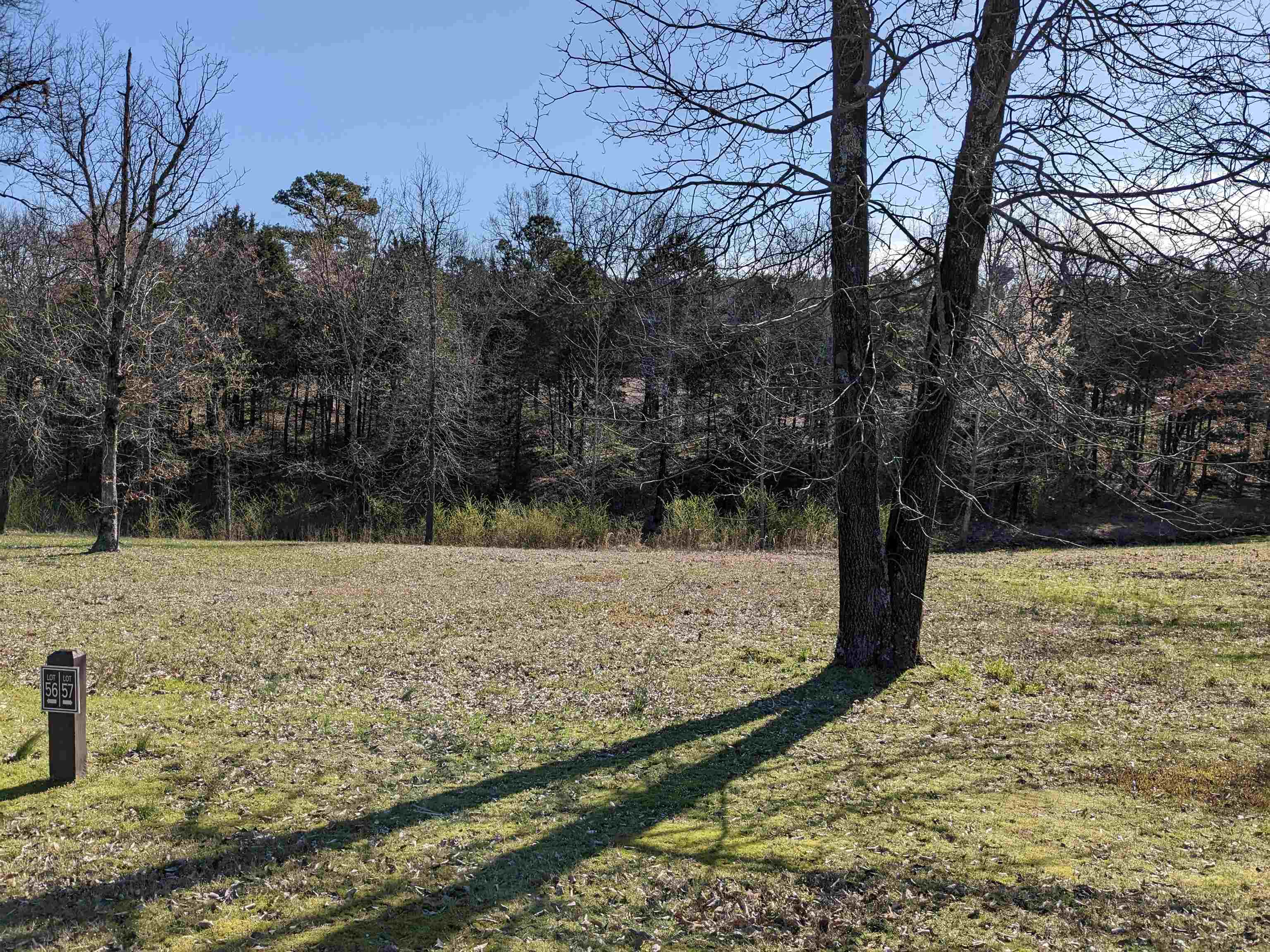 Vacant Land for sale – Lot 57  Brighton Pointe   Heber Springs, AR