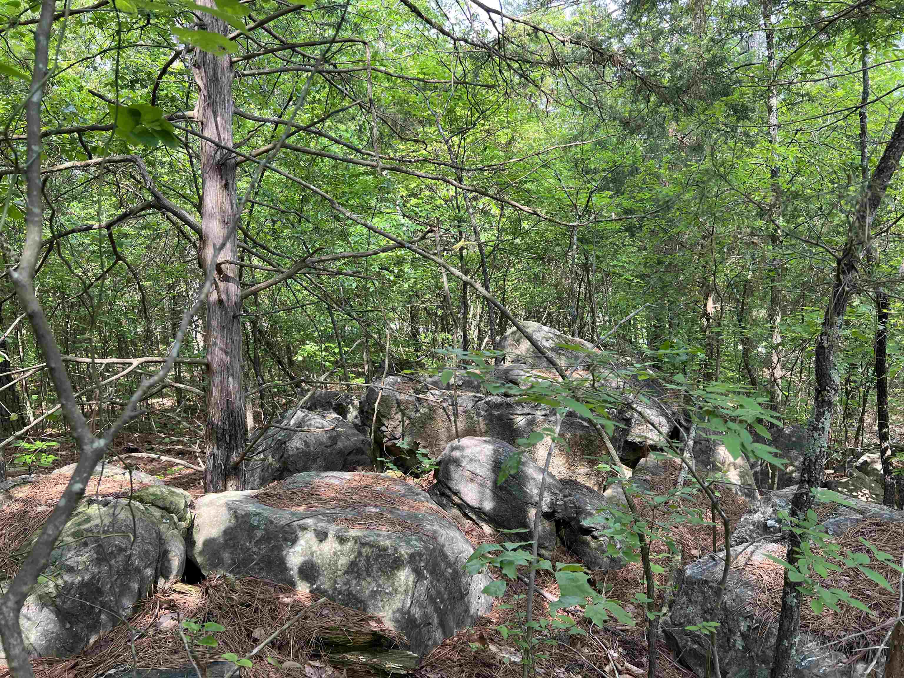 Vacant Land for sale – xxx  Iroquois   Cherokee Village, AR