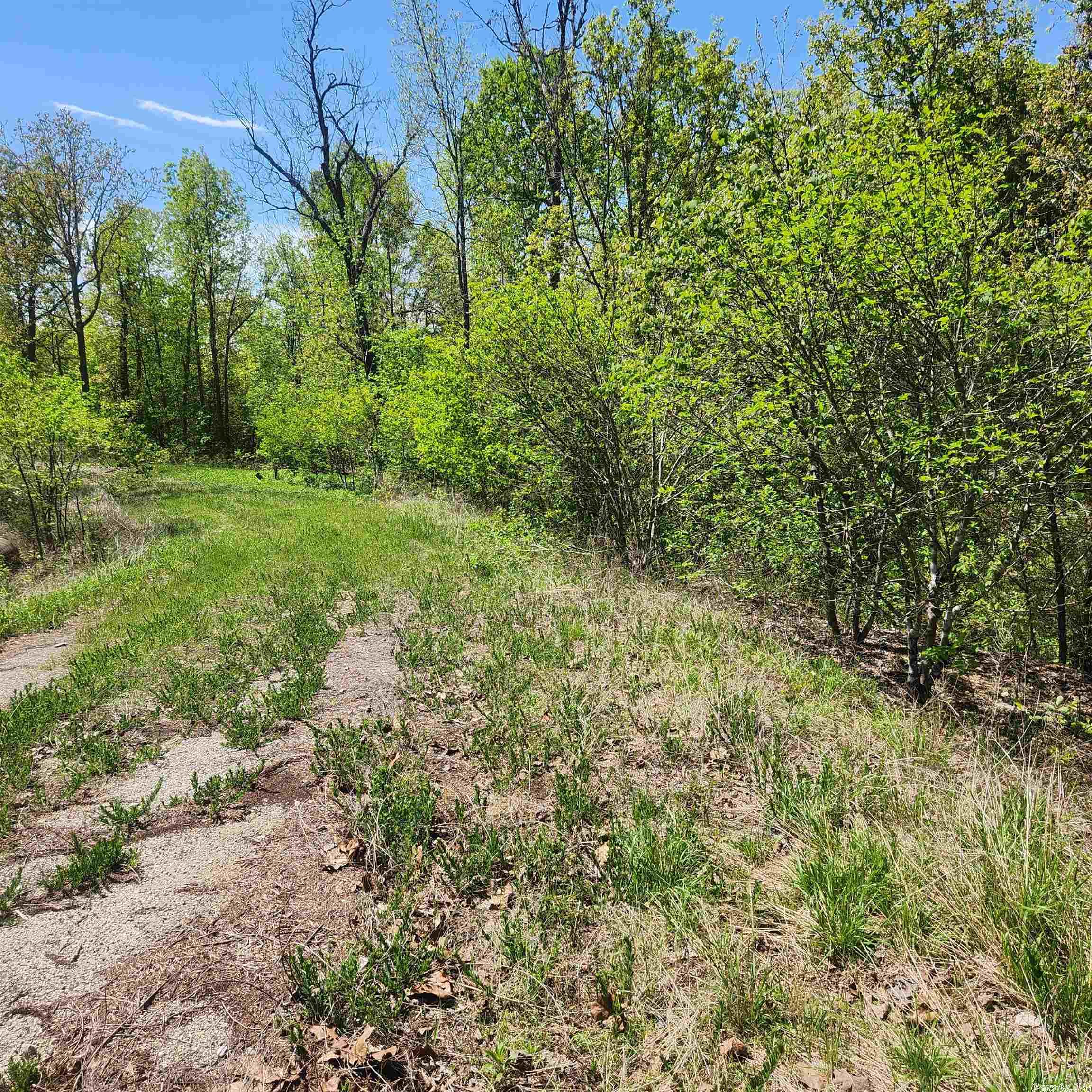 Photo 3 - Vacant Land for sale – L-9 B-2  Minnetree   Cherokee Village, AR