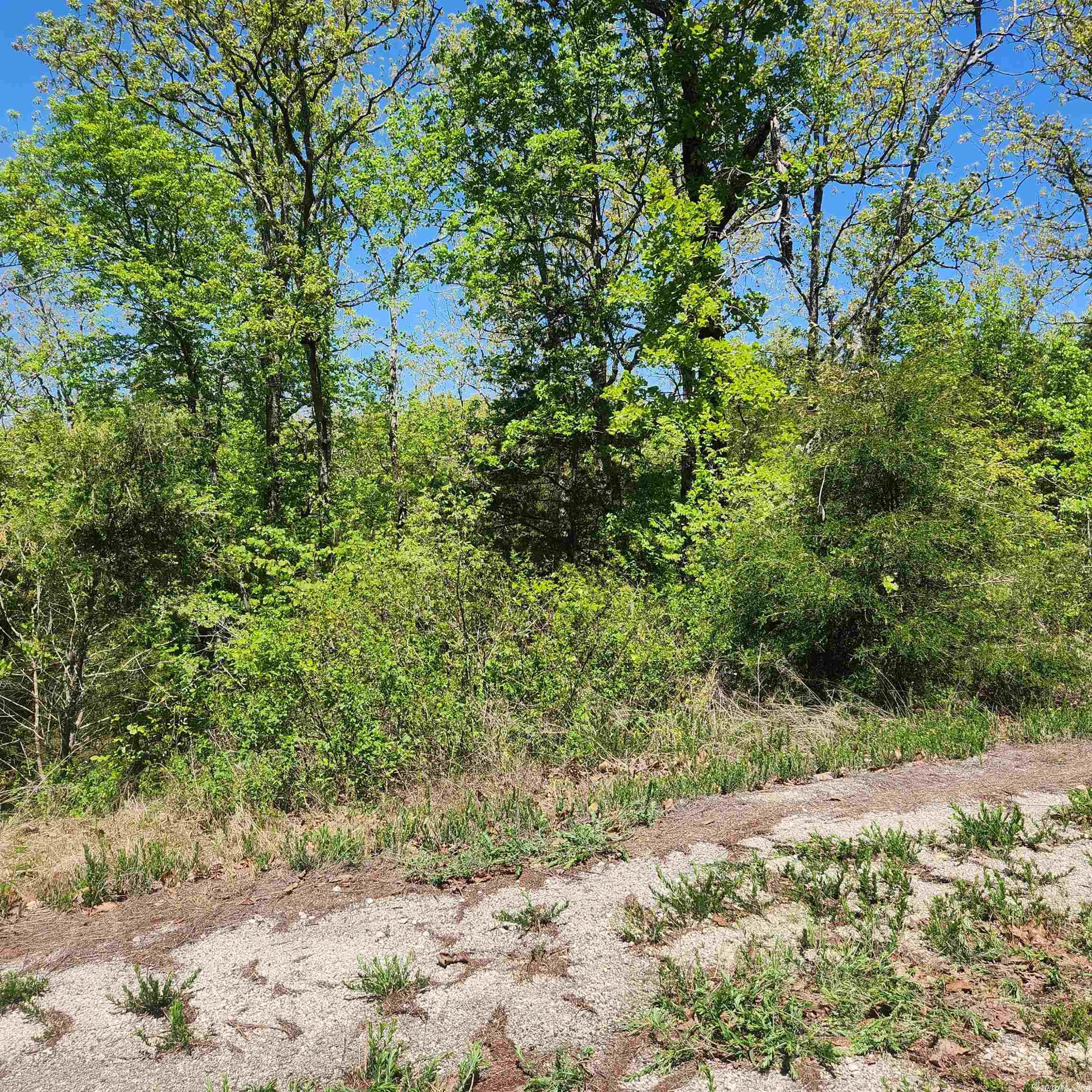 Photo 6 - Vacant Land for sale – L-9 B-2  Minnetree   Cherokee Village, AR