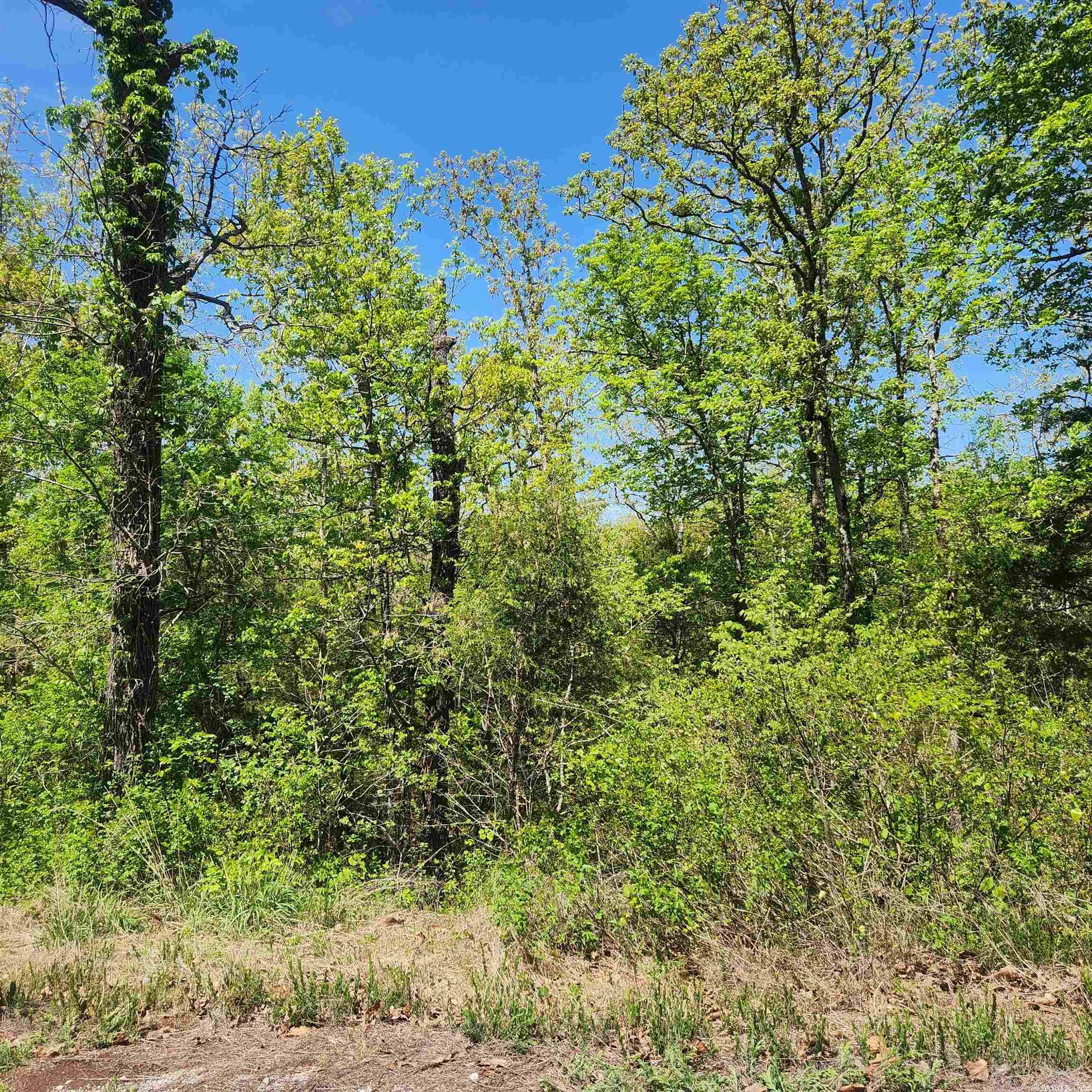 Photo 7 - Vacant Land for sale – L-9 B-2  Minnetree   Cherokee Village, AR