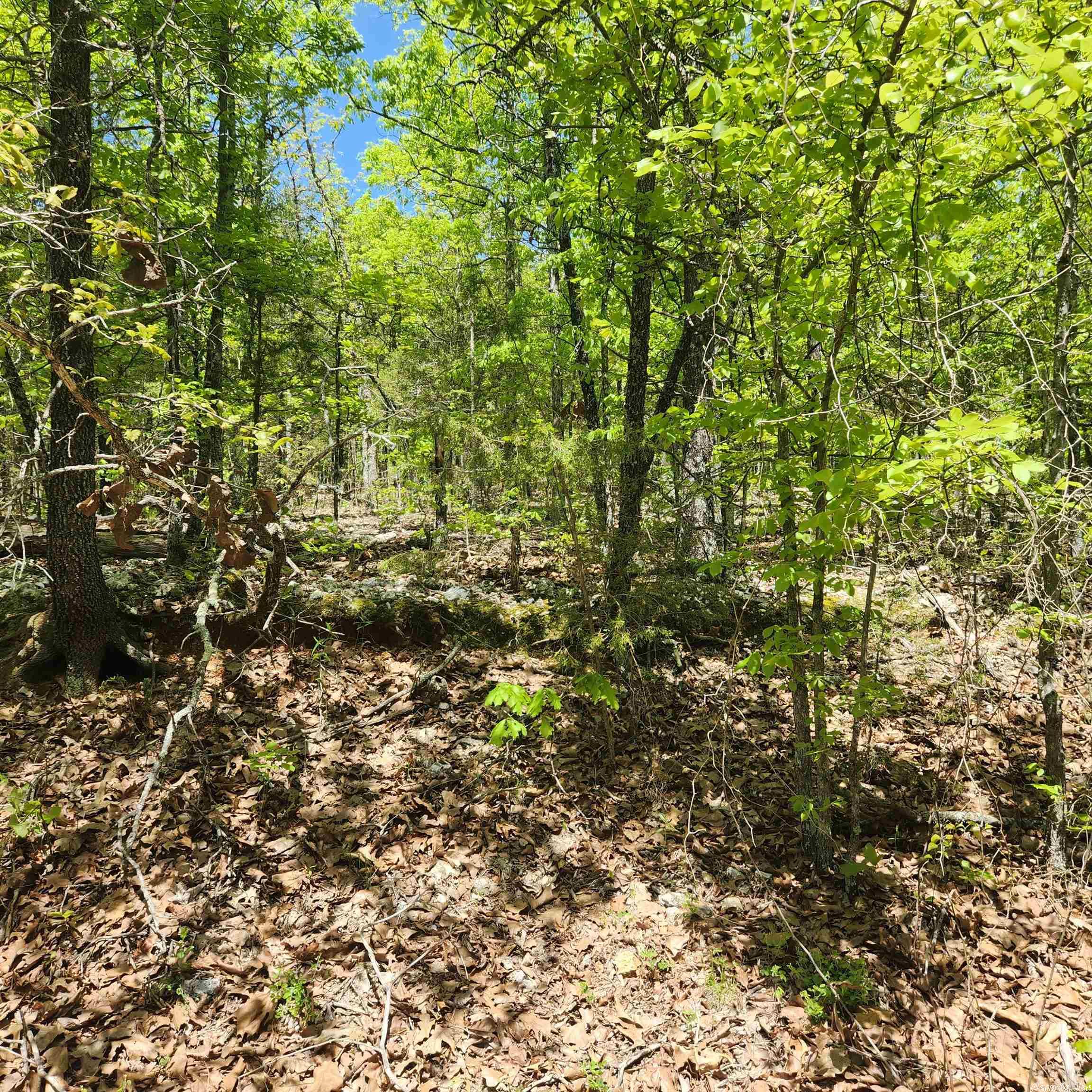 Photo 3 - Vacant Land for sale – L-61 B-1  Kayenta   Cherokee Village, AR