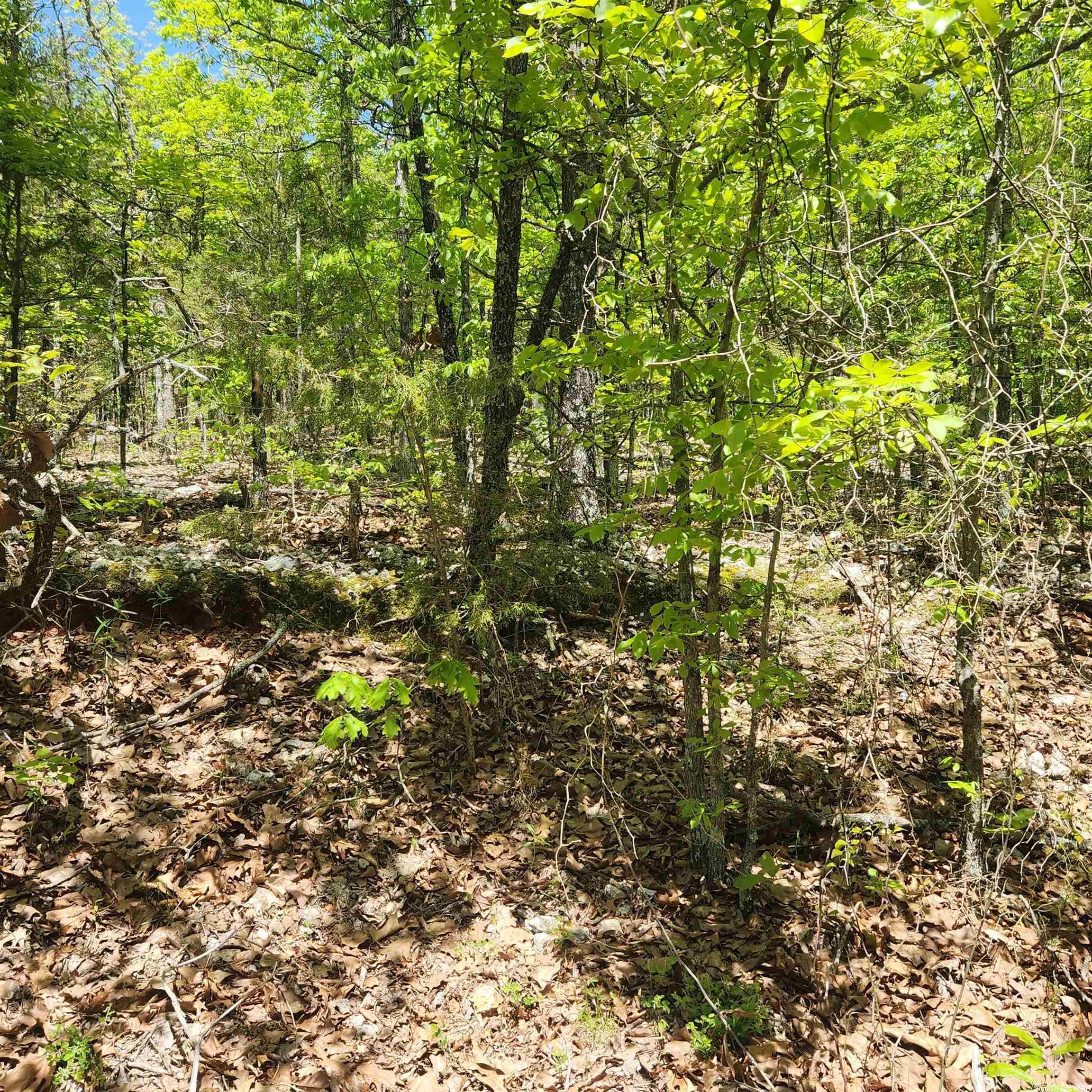 Photo 6 - Vacant Land for sale – L-61 B-1  Kayenta   Cherokee Village, AR