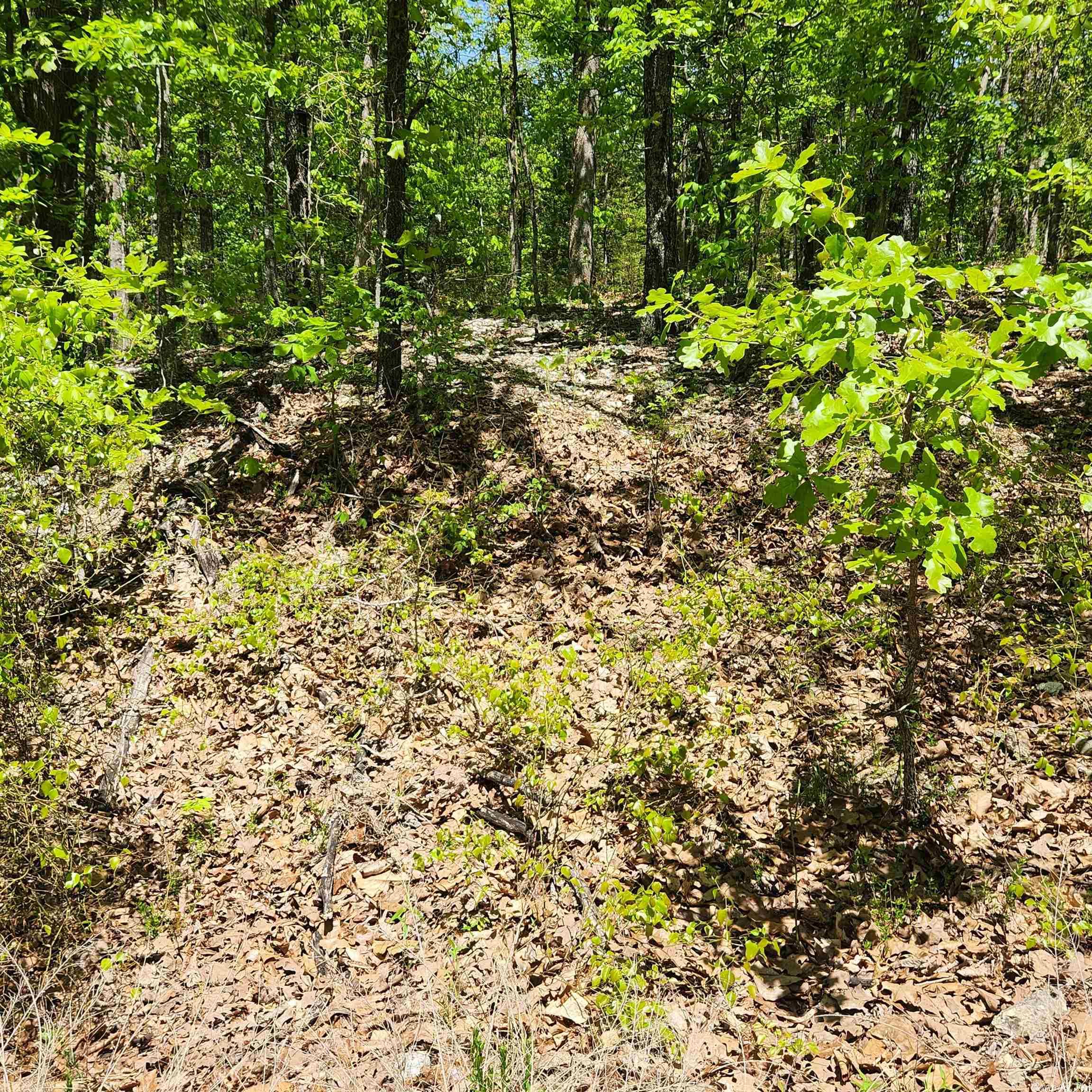 Photo 3 - Vacant Land for sale – L-65 B-1  Kayenta   Cherokee Village, AR