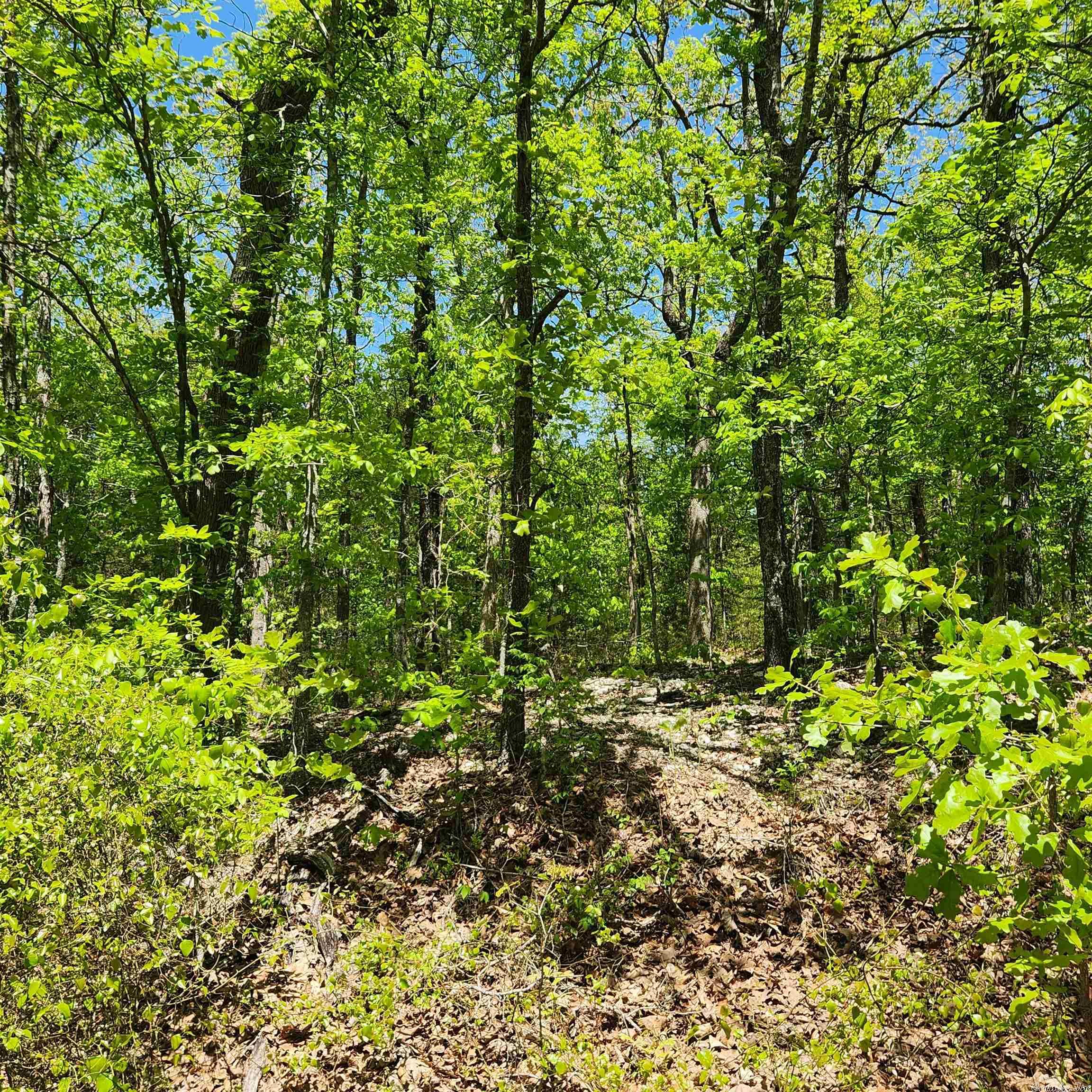 Photo 4 - Vacant Land for sale – L-65 B-1  Kayenta   Cherokee Village, AR